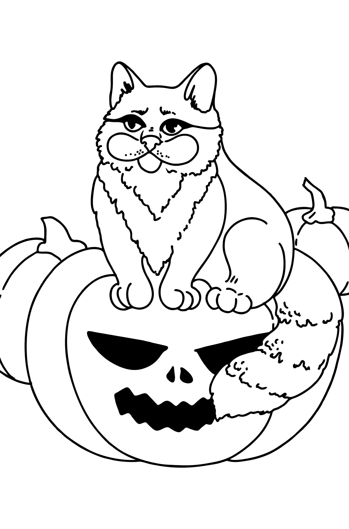 Ausmalbild Halloween-Katze - Malvorlagen für Kinder