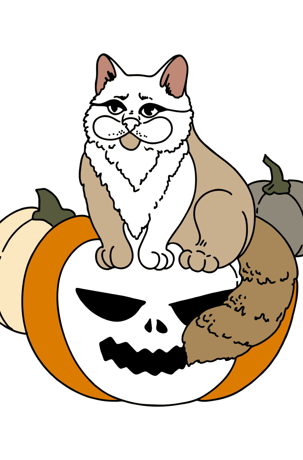 Tegning til farvning halloween kat - Tegninger til farvelægning for børn