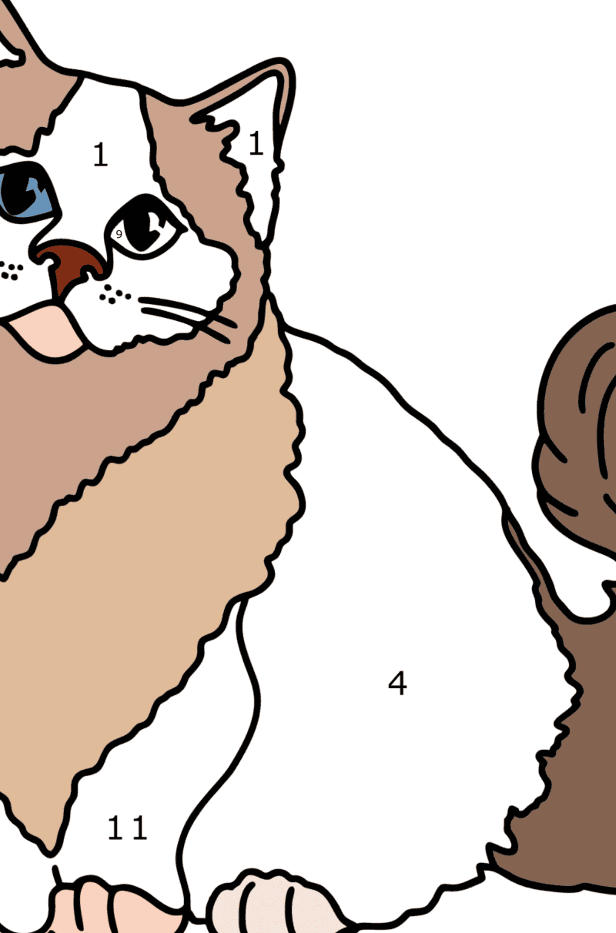 Ausmalbild Himalaya-Katze - Malen nach Zahlen für Kinder