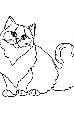 Kitten Coloring Pages - Download, Print, and Color Online!