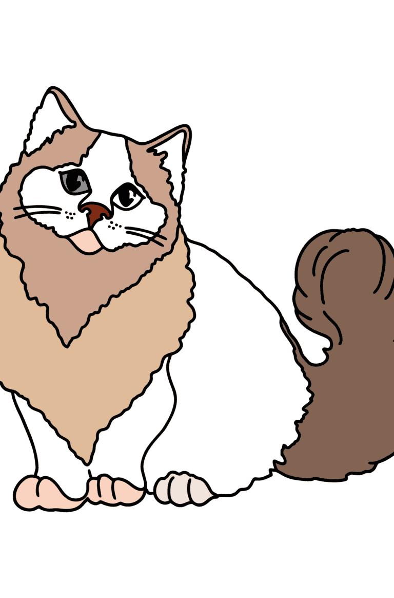 Black Cat coloring page ♥ Online and Print for Free!