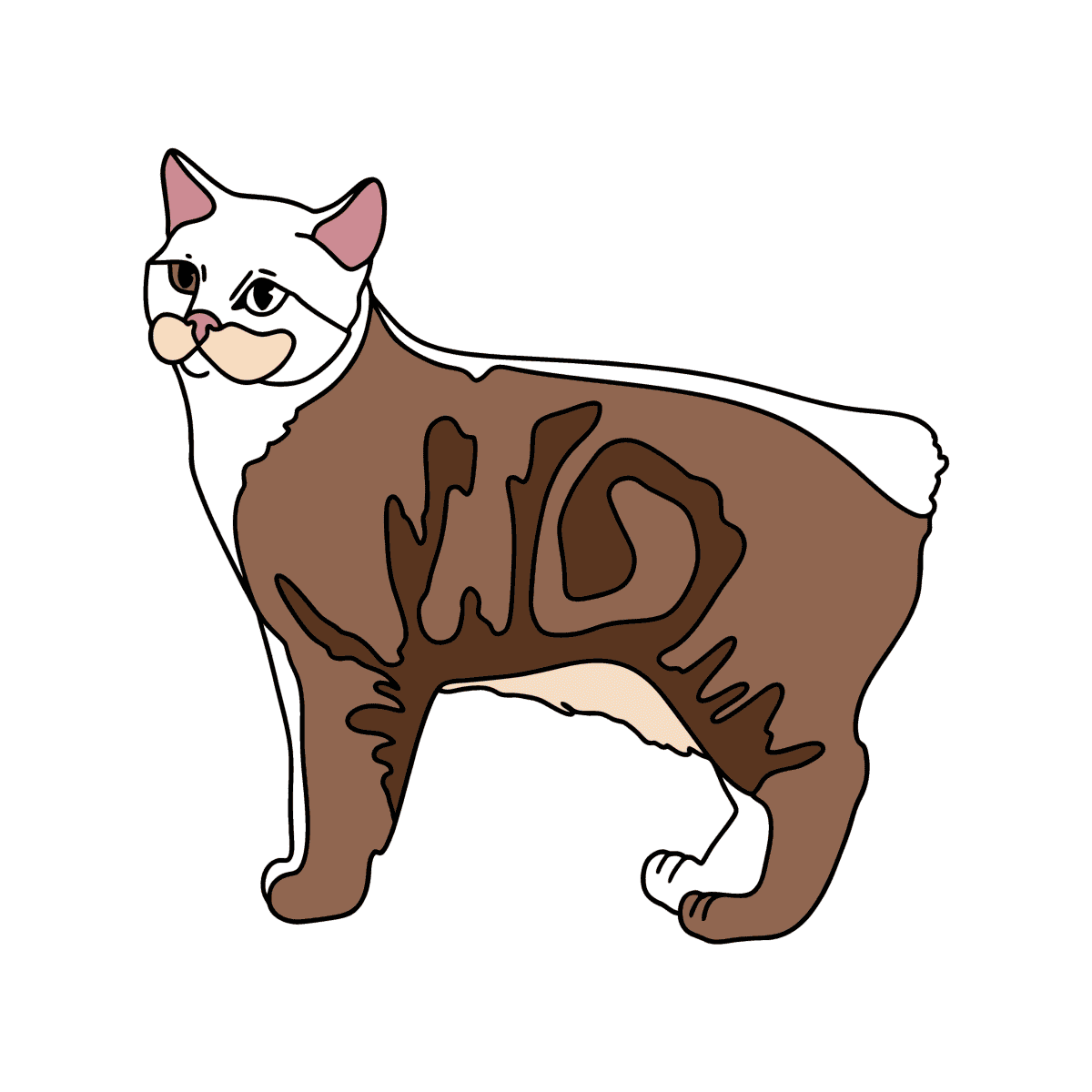 NUEVO