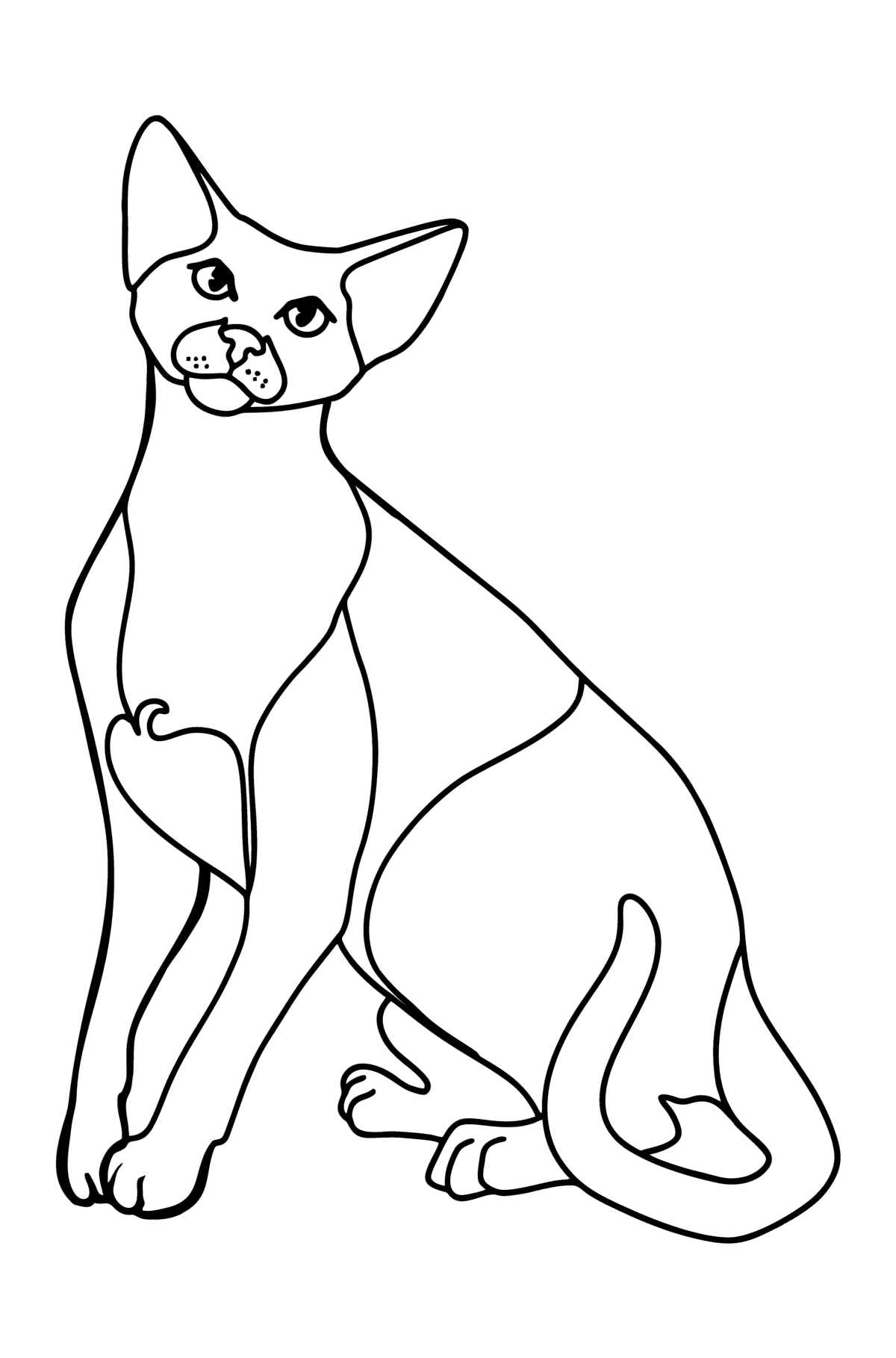 Tegning til fargelegging orientalsk korthåret katt - Tegninger til fargelegging for barn