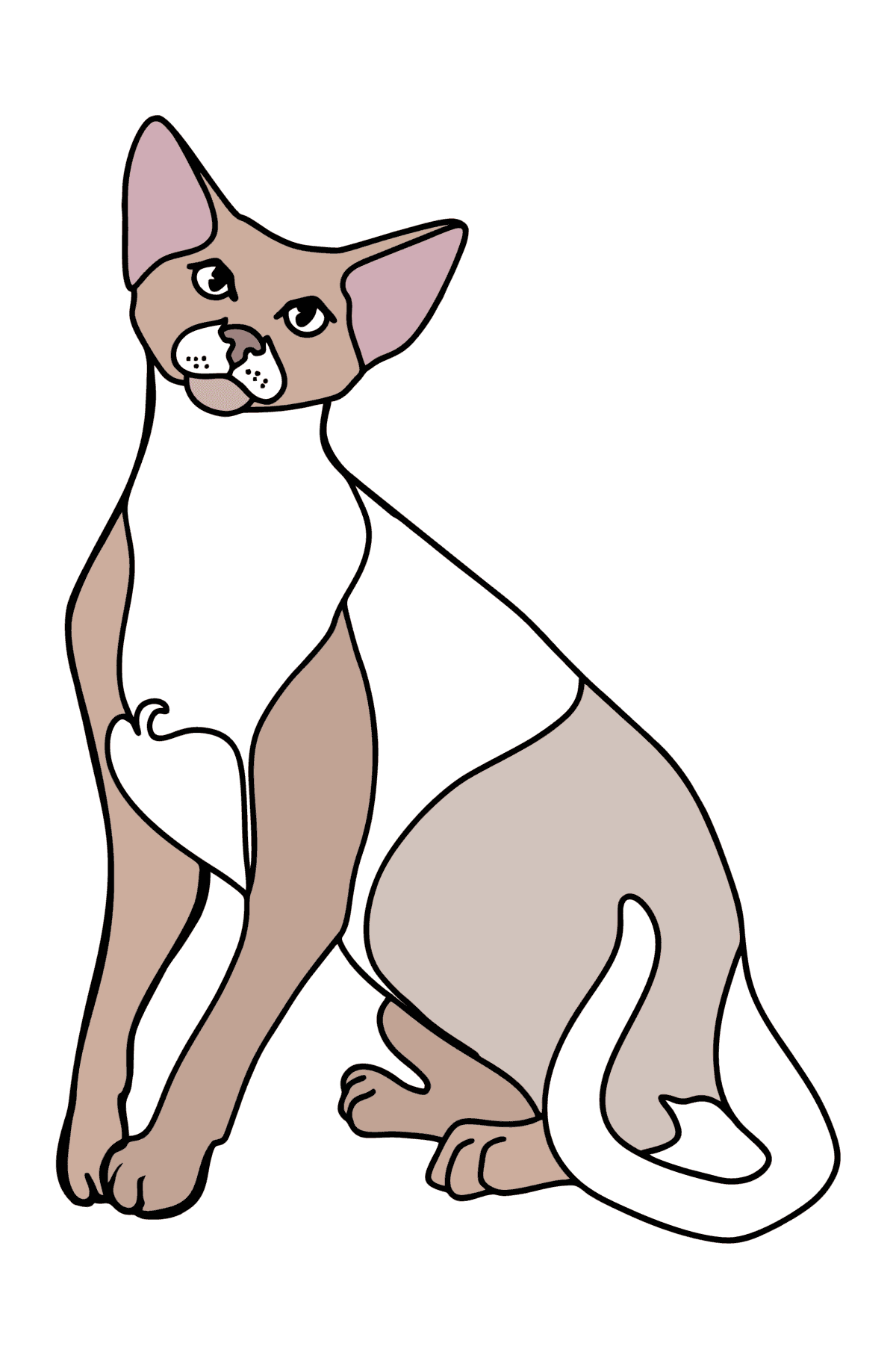 Dibujo de Gato Oriental de Pelo Corto para colorear - Dibujos para Colorear para Niños