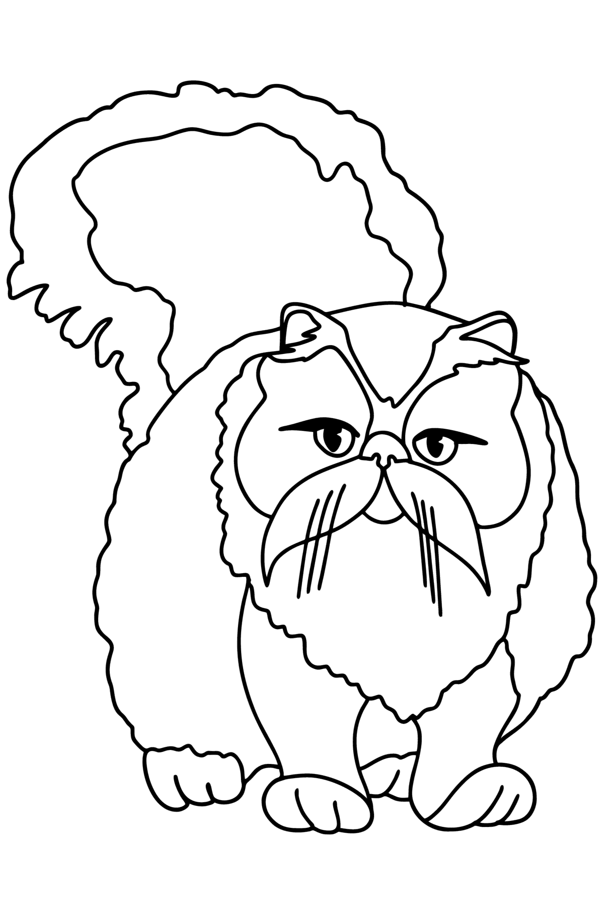 Раскраска Персидская кошка - Картинки для Детей