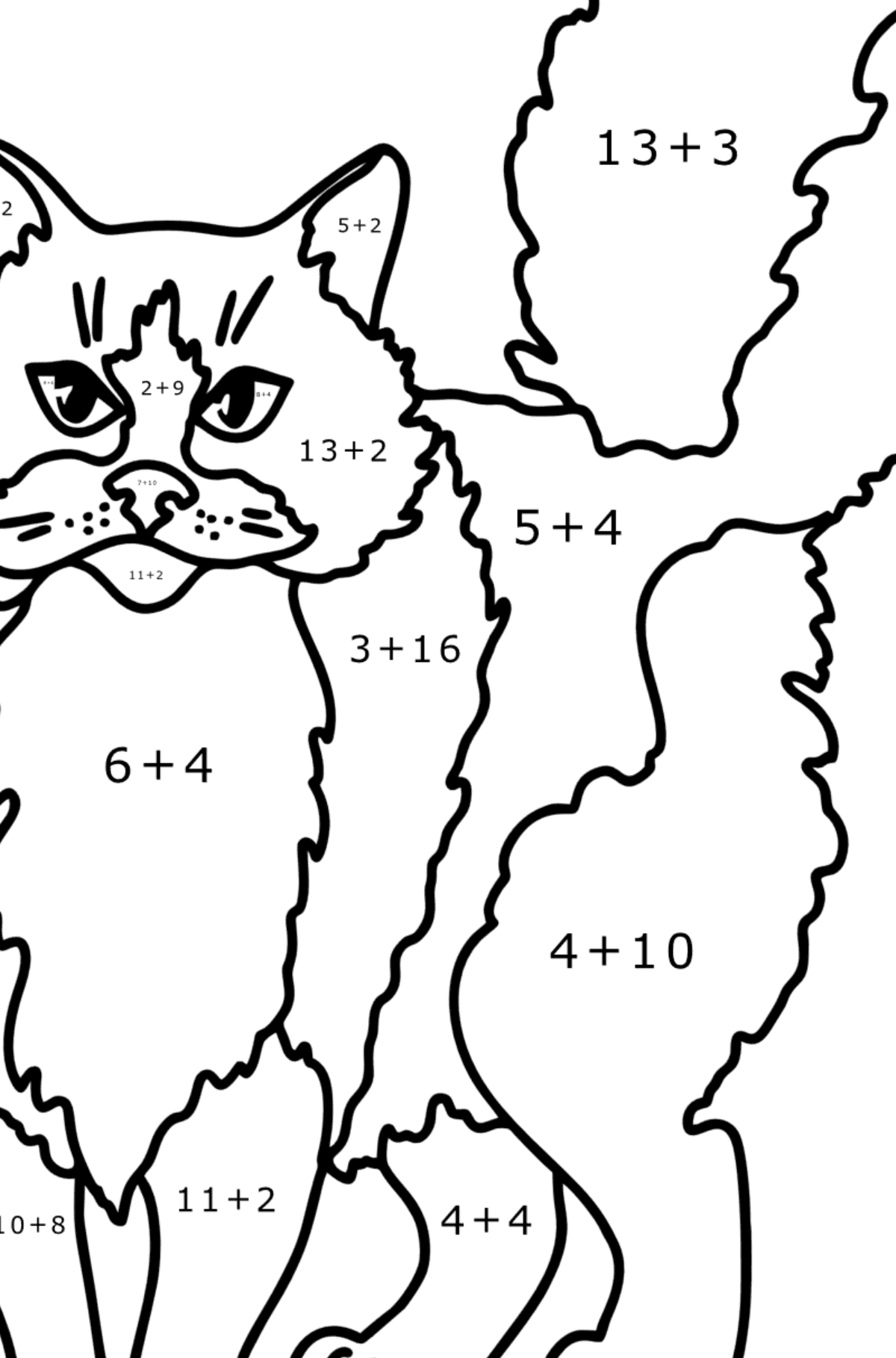Ausmalbild Ragdoll-Katze - Mathe Ausmalbilder - Addition für Kinder
