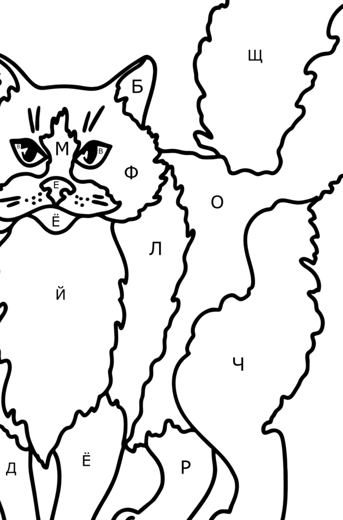 Раскраска Рэгдолл кошка - По Буквам для Детей