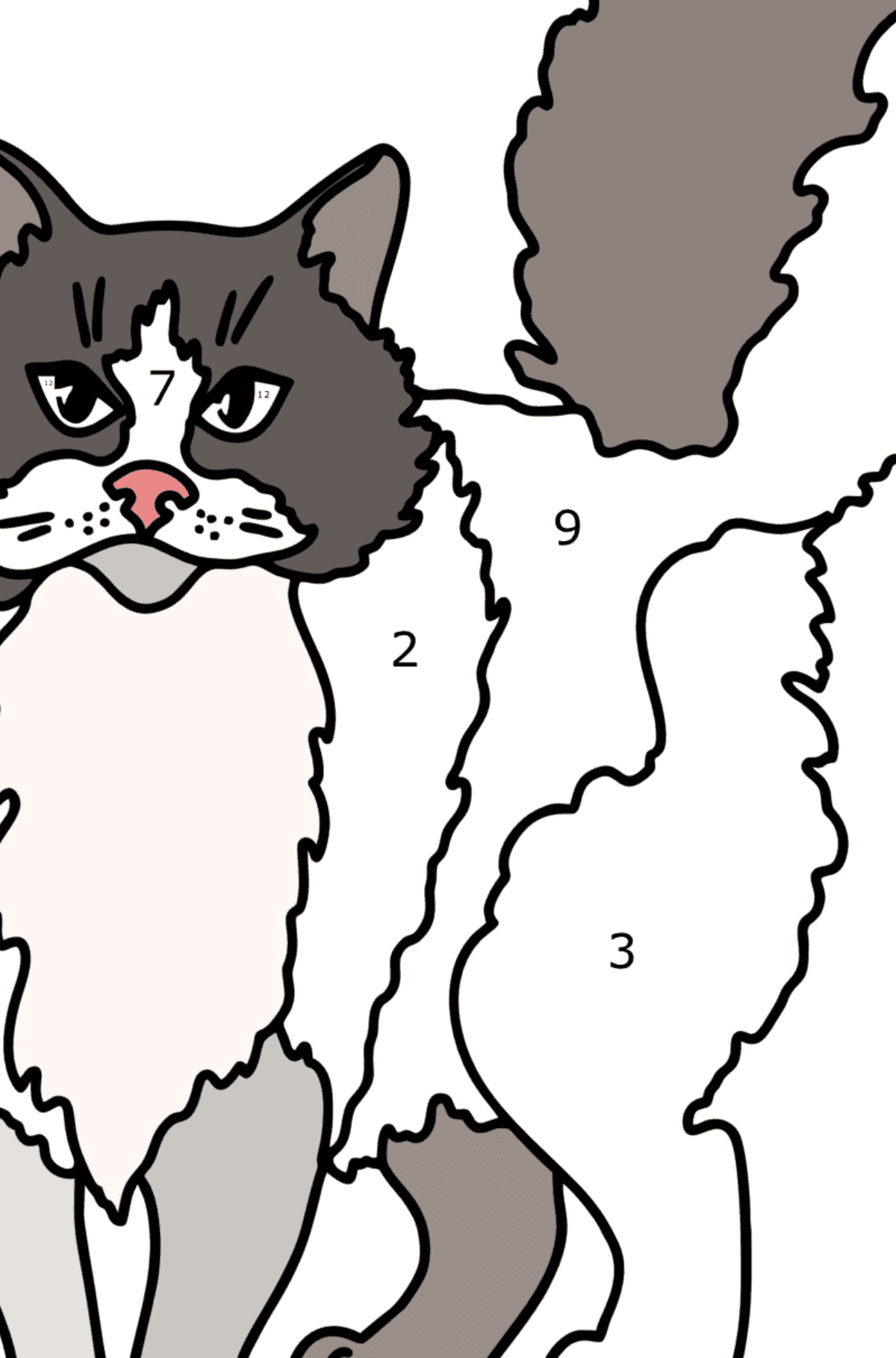 Desenho para colorir do Gato Ragdoll - Colorir por Números para Crianças