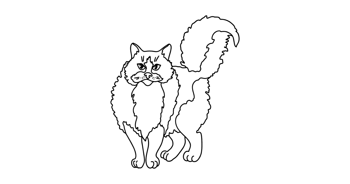 Ragdoll Cat coloring page ♥ Online and Print for Free!