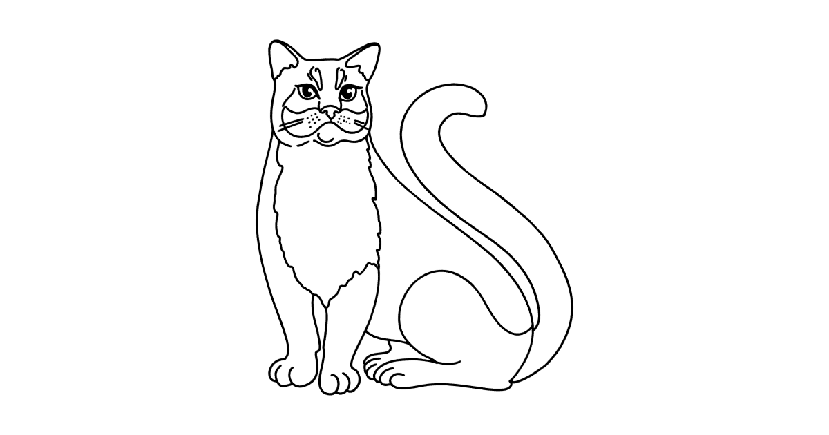 Russian Blue Cat coloring page ♥ Online and Print for Free!