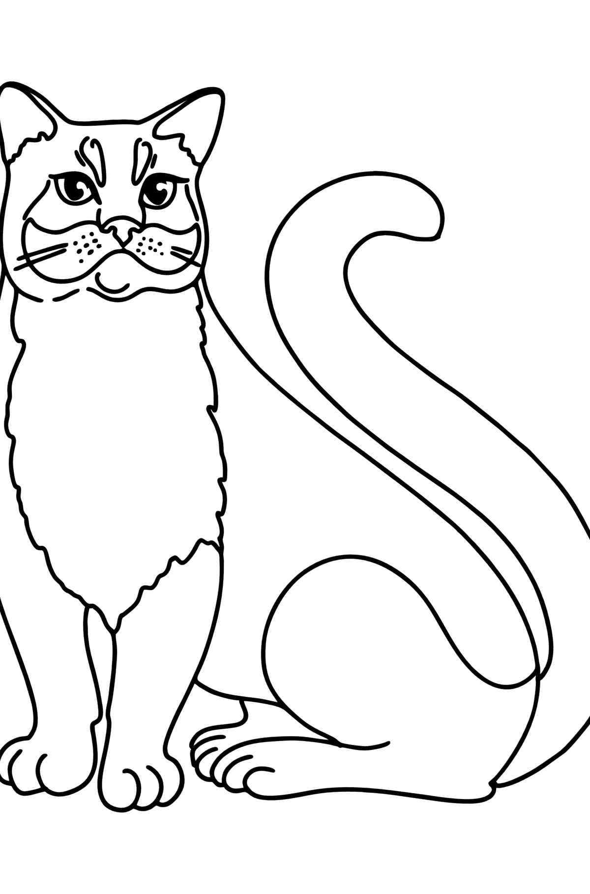 Tegning til fargelegging russisk blå katt - Tegninger til fargelegging for barn