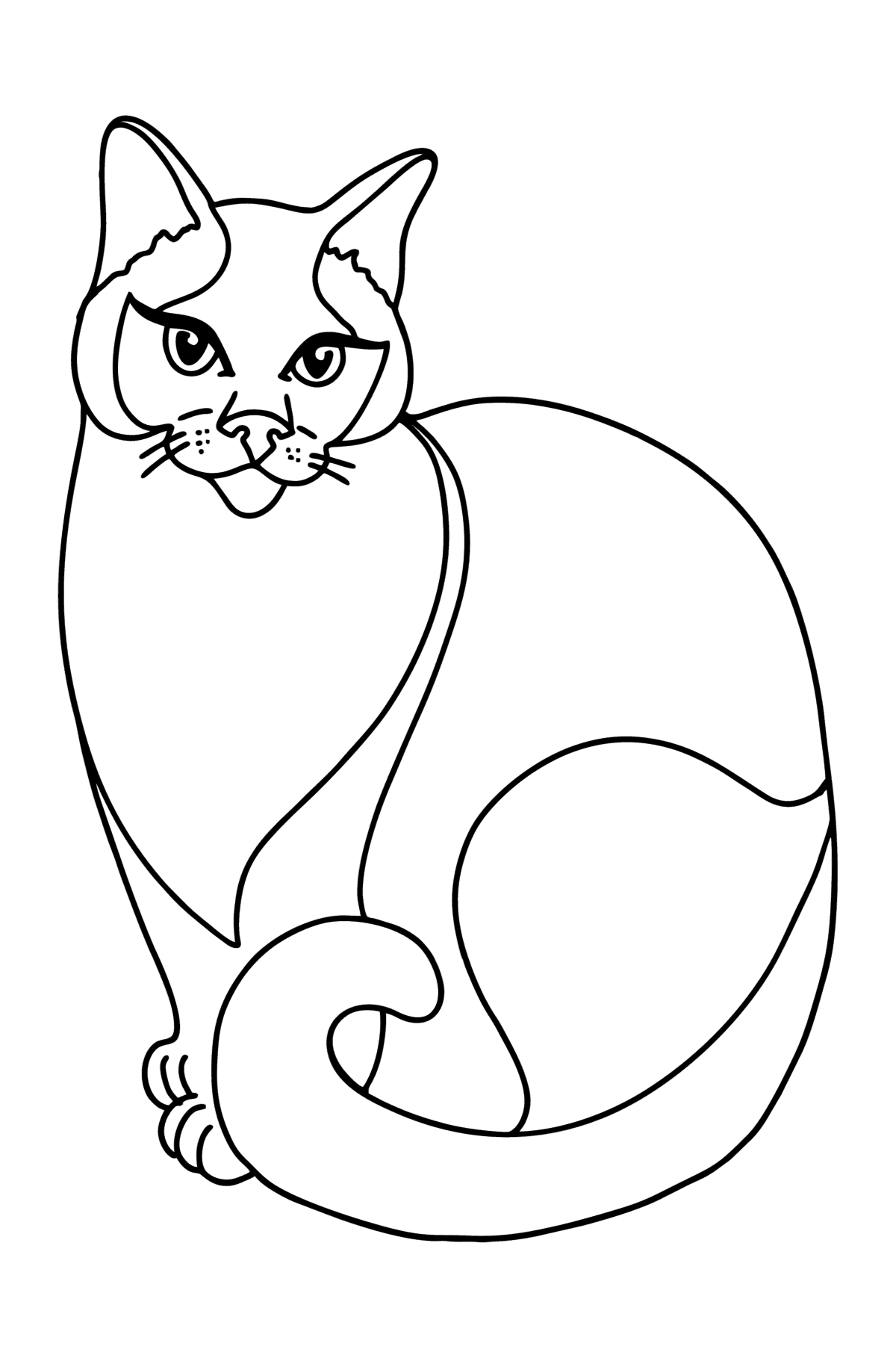 Tegning til farvning Siameser kat - Tegninger til farvelægning for børn