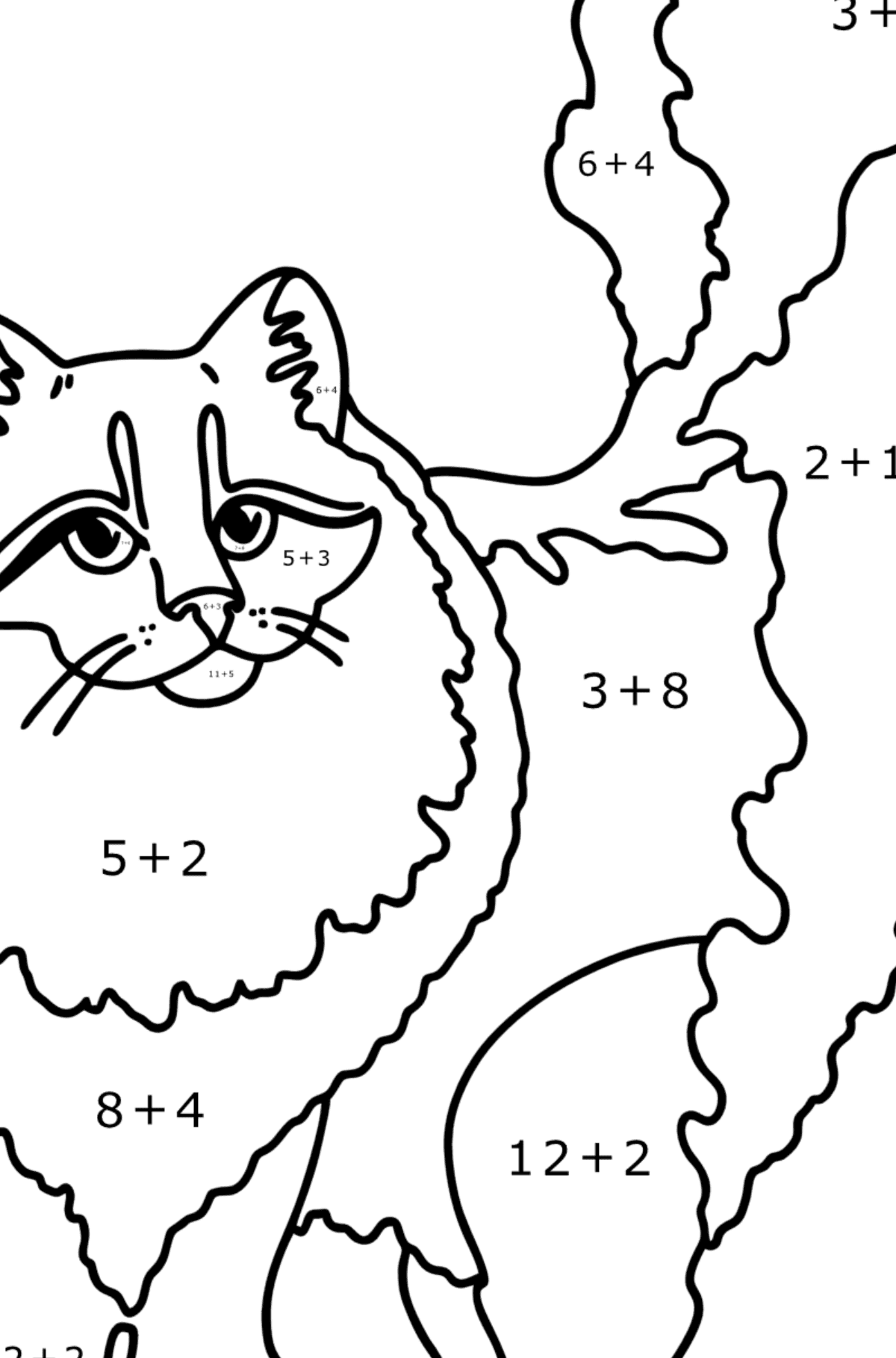 Розмальовка Сибірська кішка - Математична Розмальовка Додавання для дітей