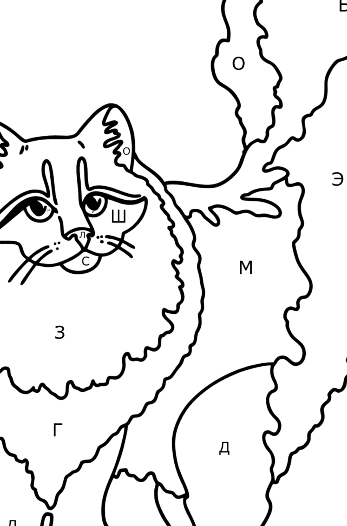 Раскраска Сибирская кошка - По Буквам для Детей
