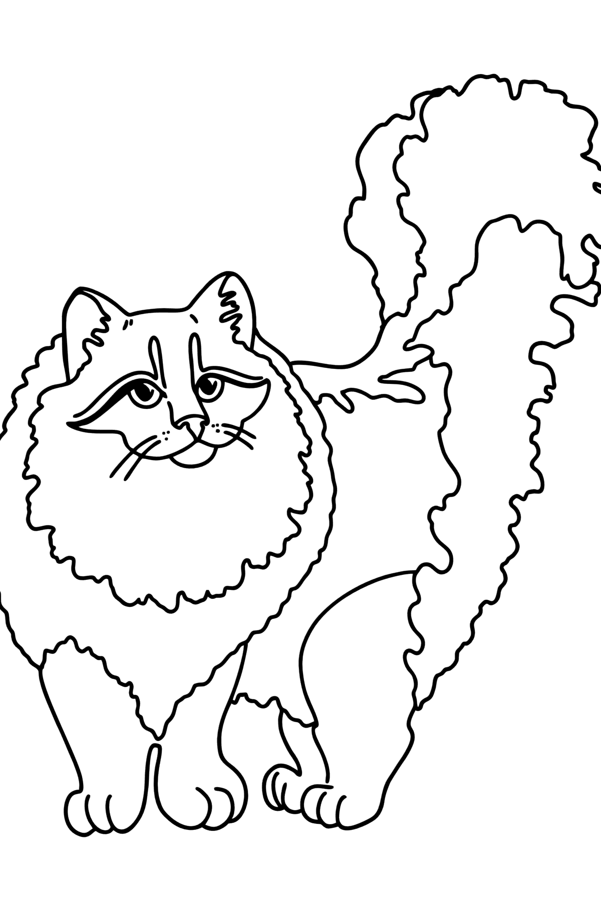 Desen de colorat pisica siberiana - Desene de colorat pentru copii