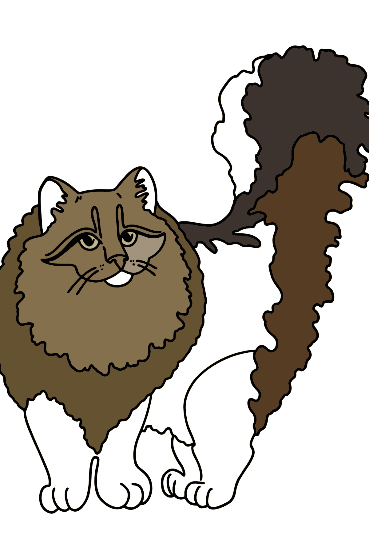Розмальовка Сибірська кішка - Розмальовки для дітей