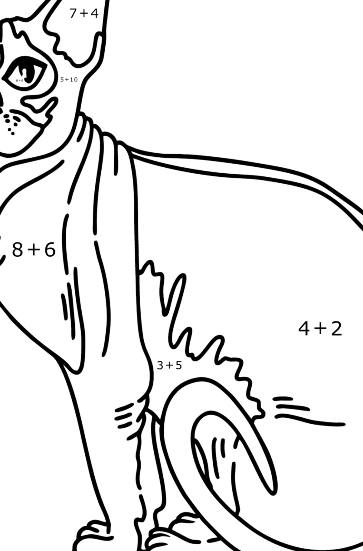 Ausmalbild Sphynx-Katze - Mathe Ausmalbilder - Addition für Kinder