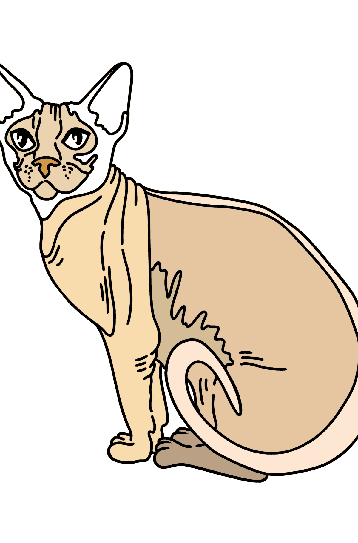 Desen de colorat pisica sphynx - Desene de colorat pentru copii