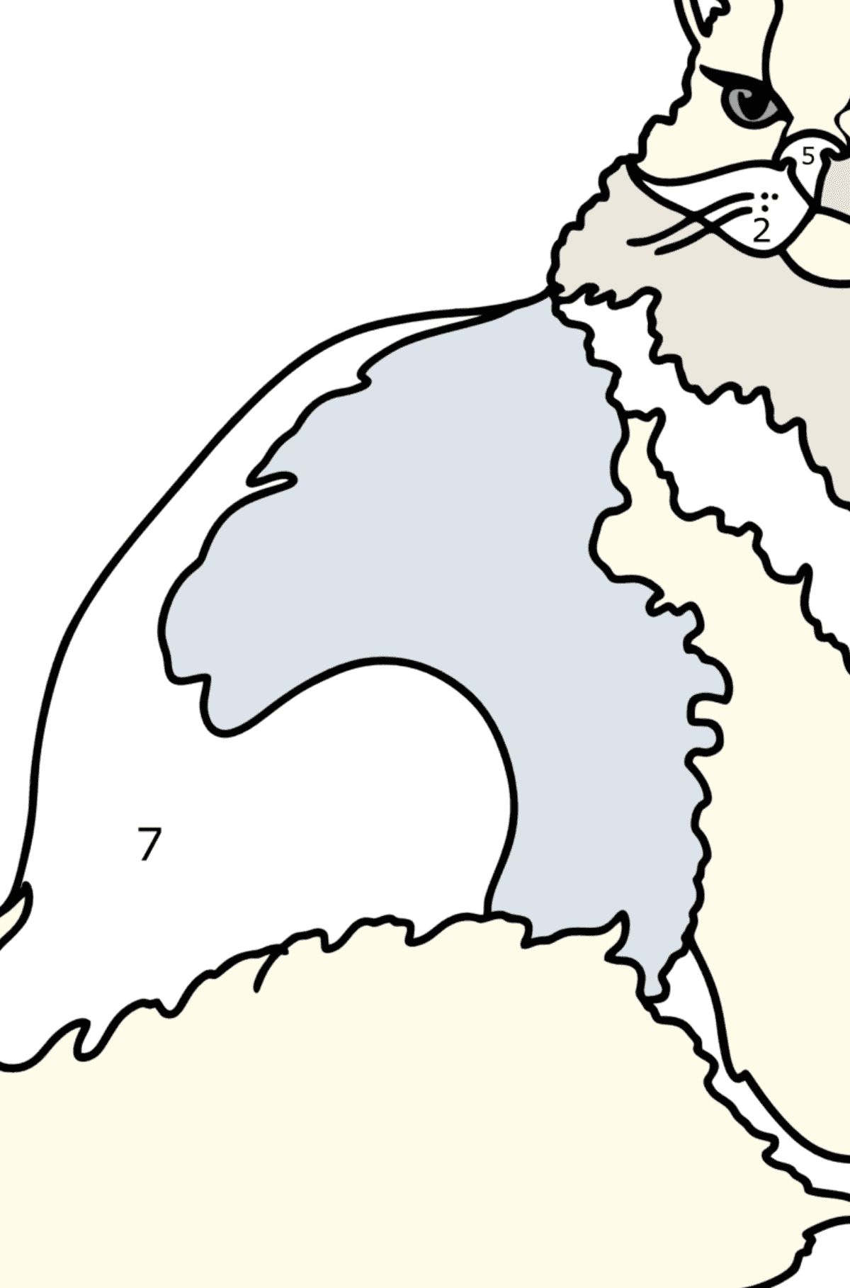 Coloriage Chat turc - Coloriage par Chiffres pour les Enfants