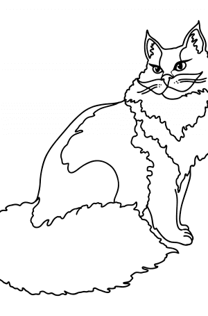 Kitten Coloring Pages - Download, Print, and Color Online!