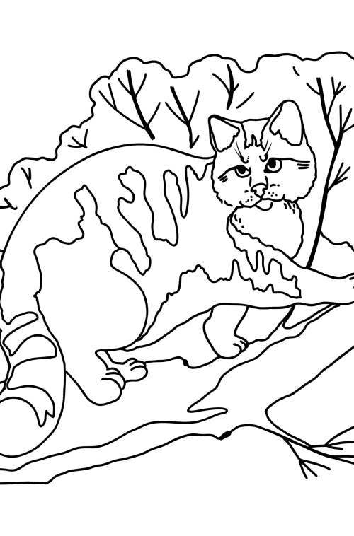 Kitten Coloring Pages - Download, Print, and Color Online!