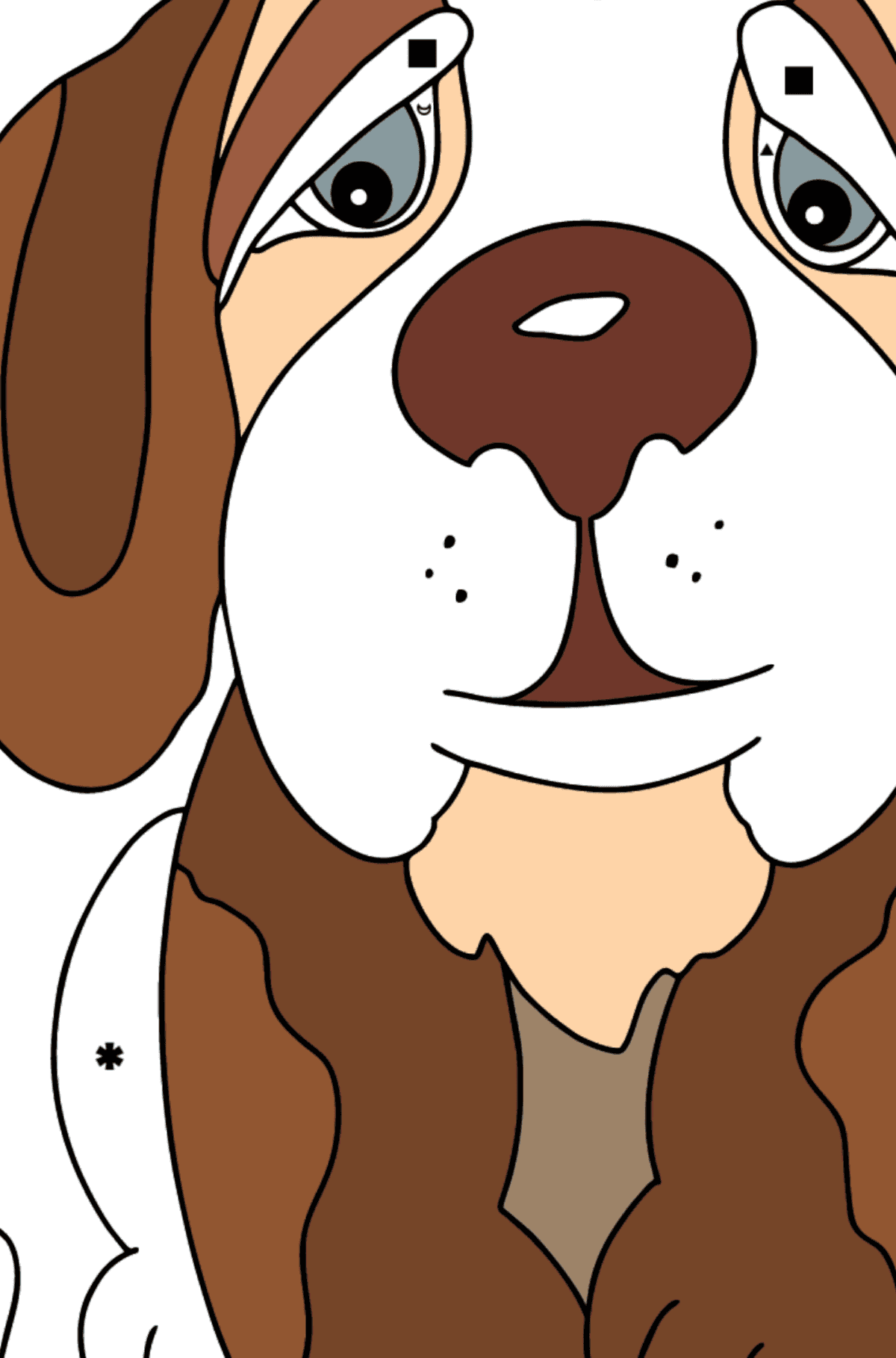 Раскраска собака щеночек - Полезная картинка для Детей