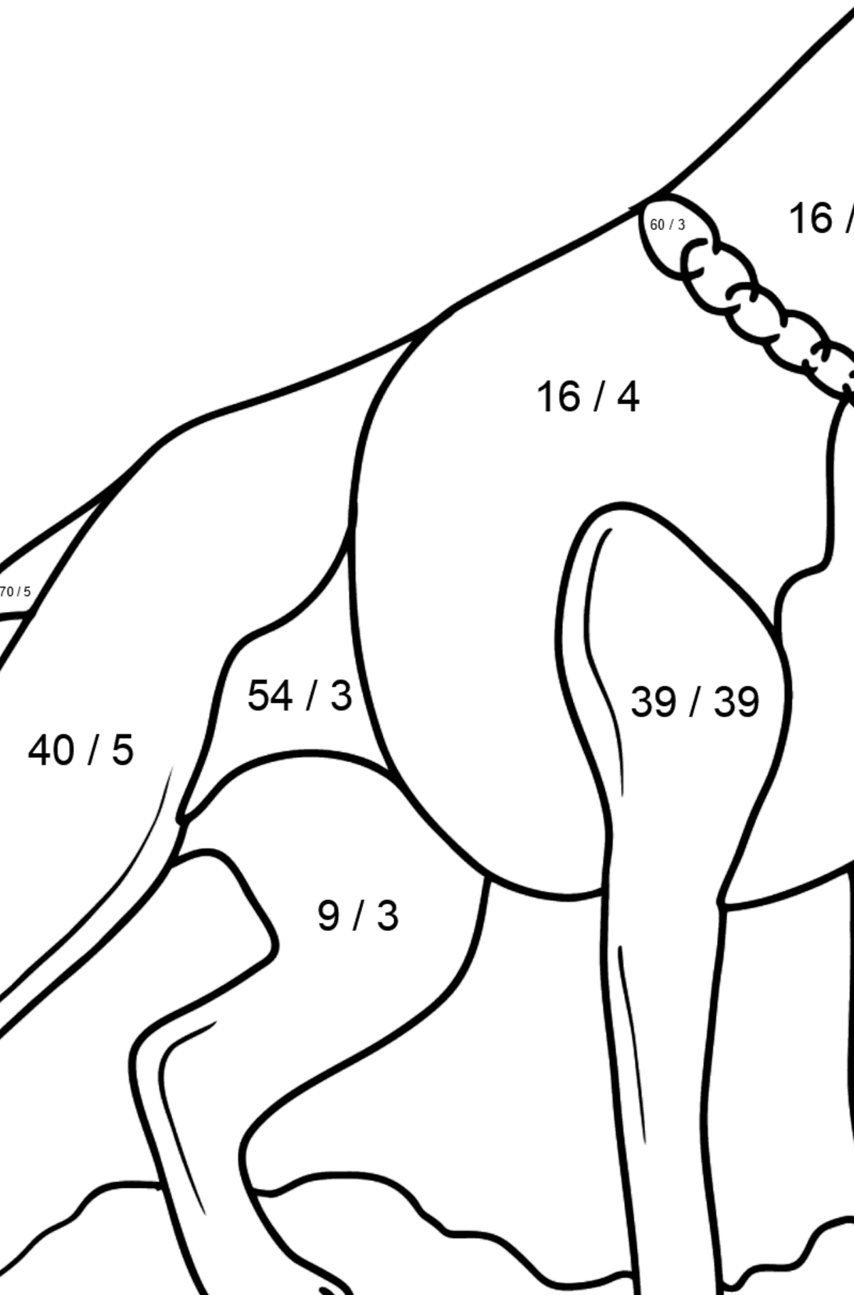 Boxer Dog coloring page - Math Coloring - Division for Kids