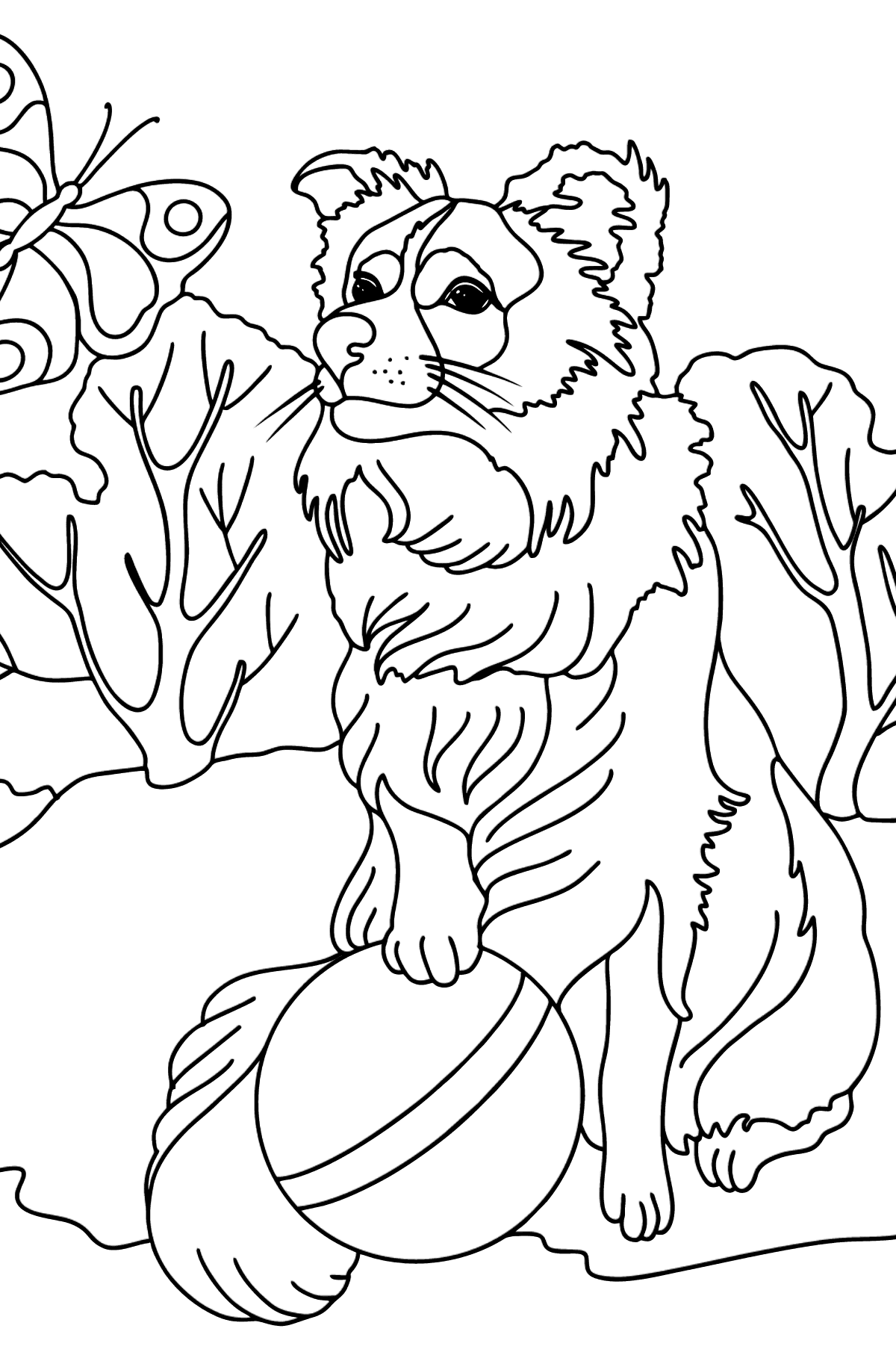 Collie coloring page - Coloring Pages for Kids