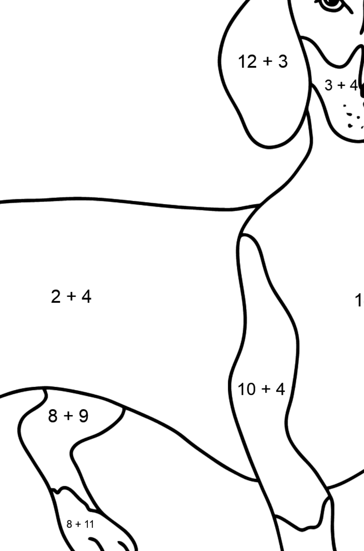 Dachshund coloring page - Math Coloring - Addition for Kids