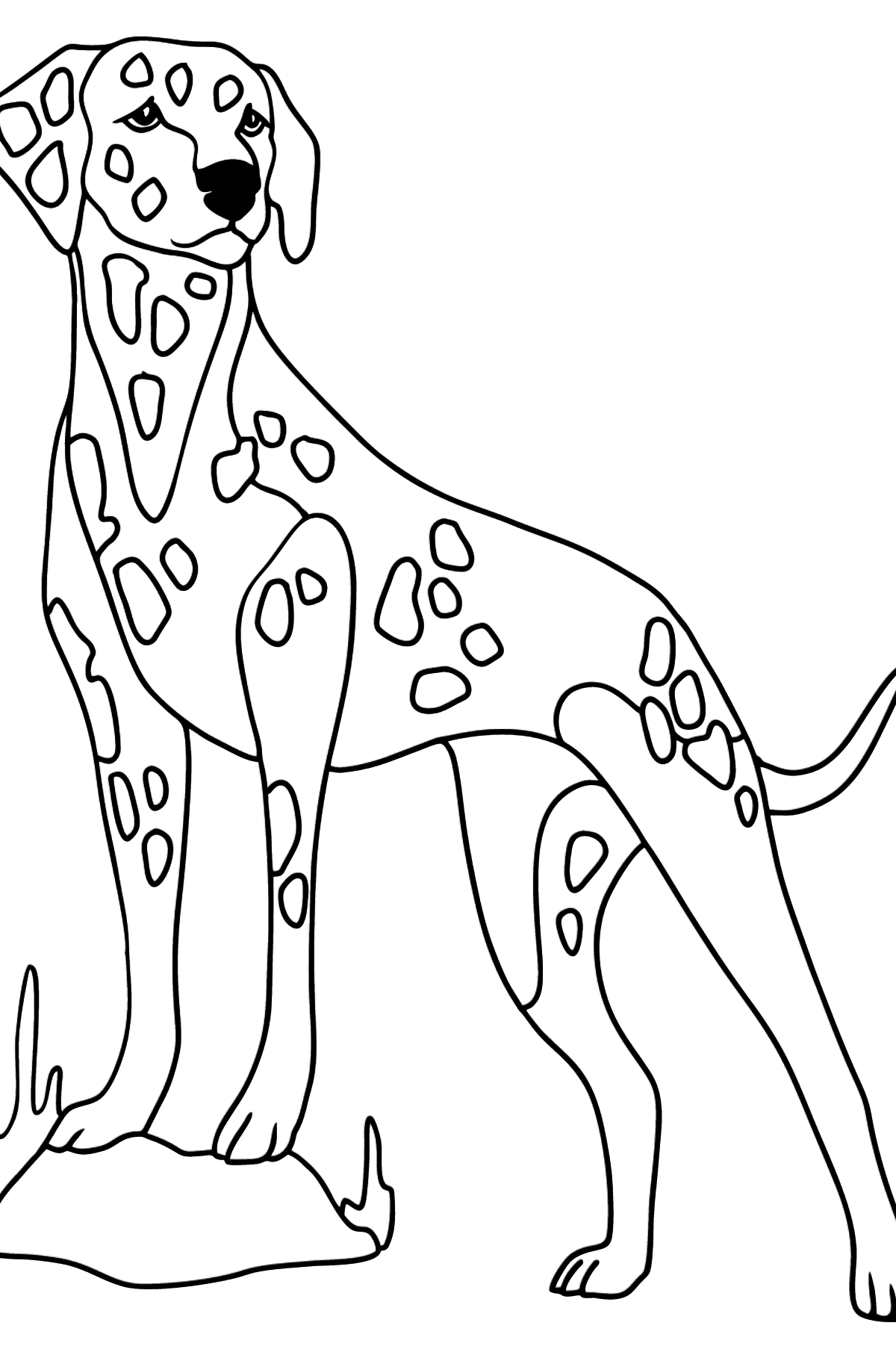 Desen de colorat dalmatian - Desene de colorat pentru copii