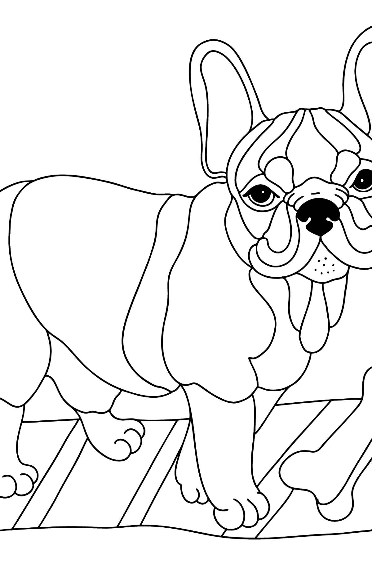Tegning til farvning fransk bulldog (vanskeligt) - Tegninger til farvelægning for børn