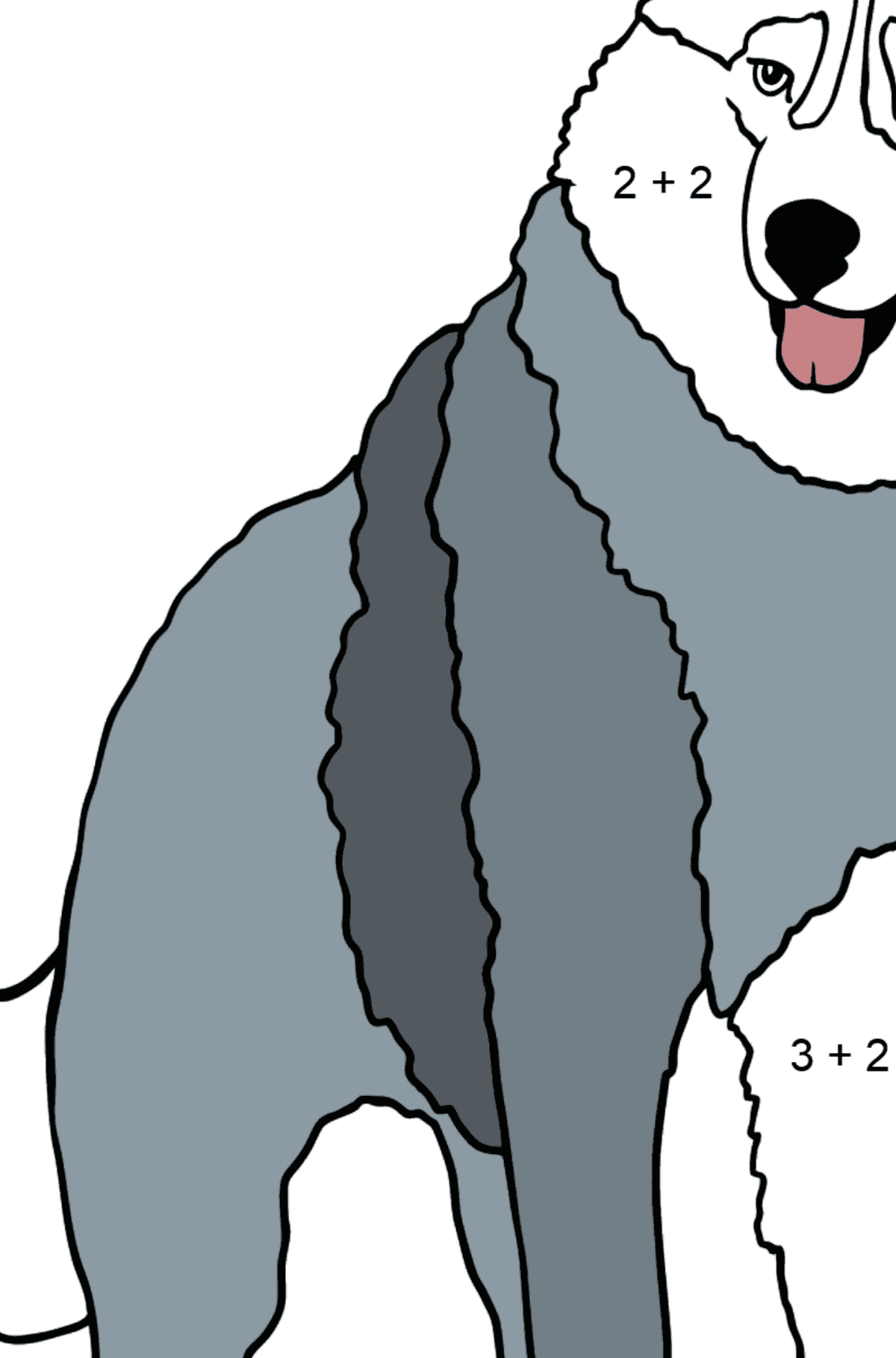 Husky Ausmalbild - Mathe Ausmalbilder - Addition für Kinder