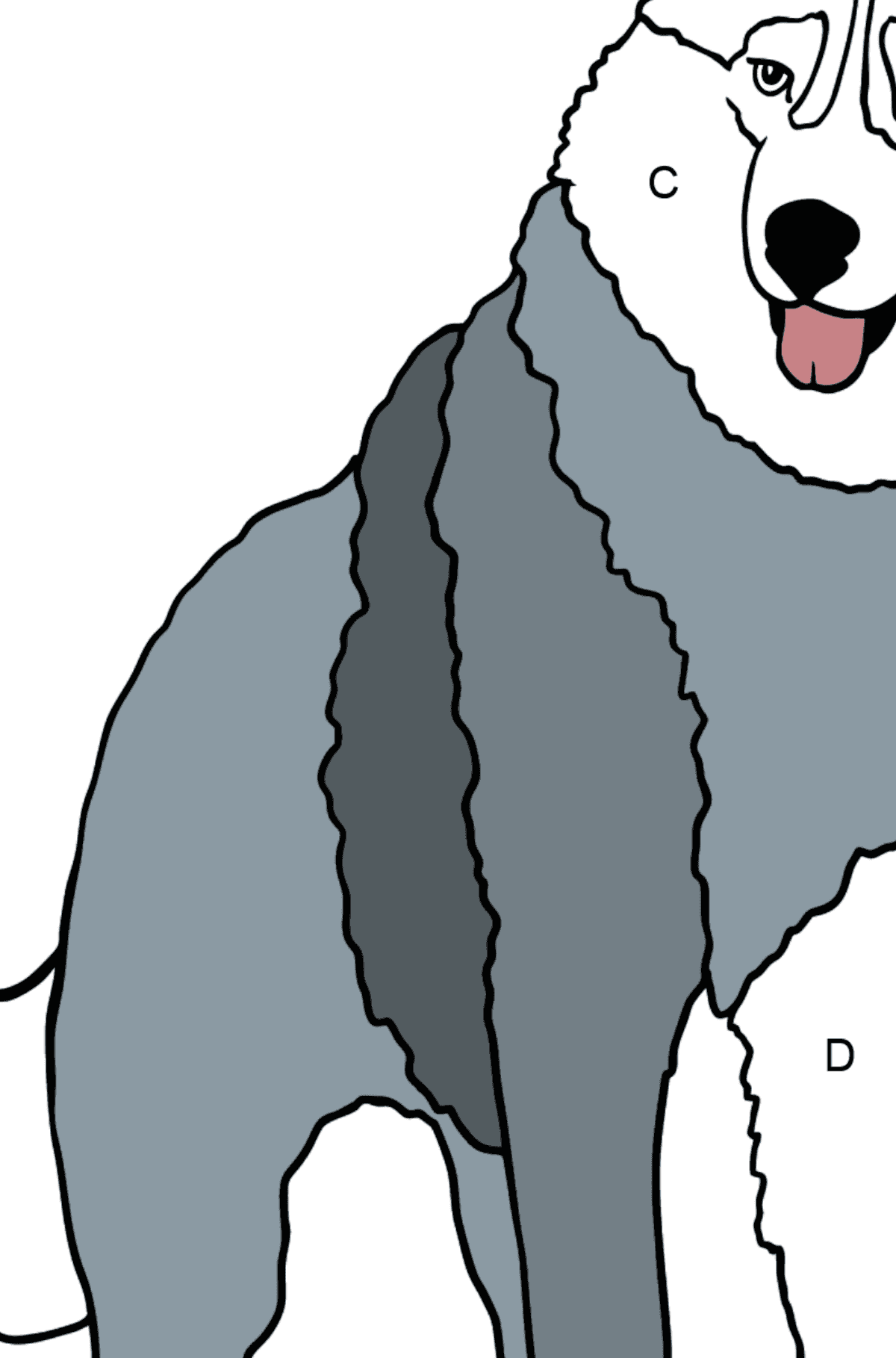 Dibujo de Husky para colorear - Colorear por Letras para Niños