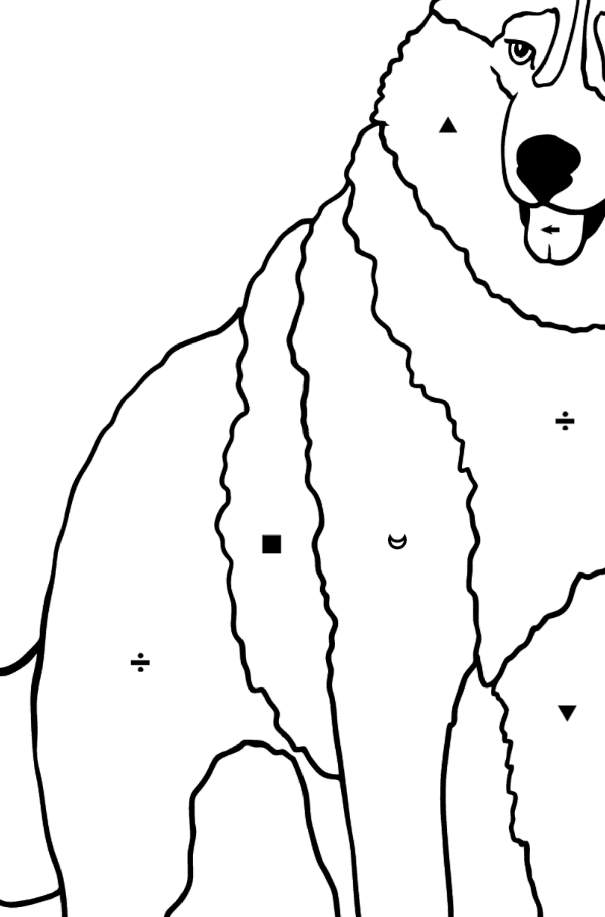 Husky coloring page - Coloring by Symbols for Kids