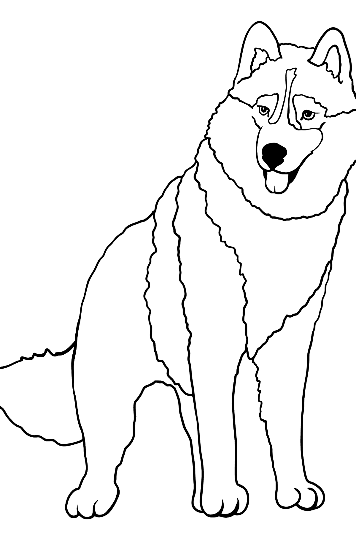 Desen de colorat husky (simplu) - Desene de colorat pentru copii