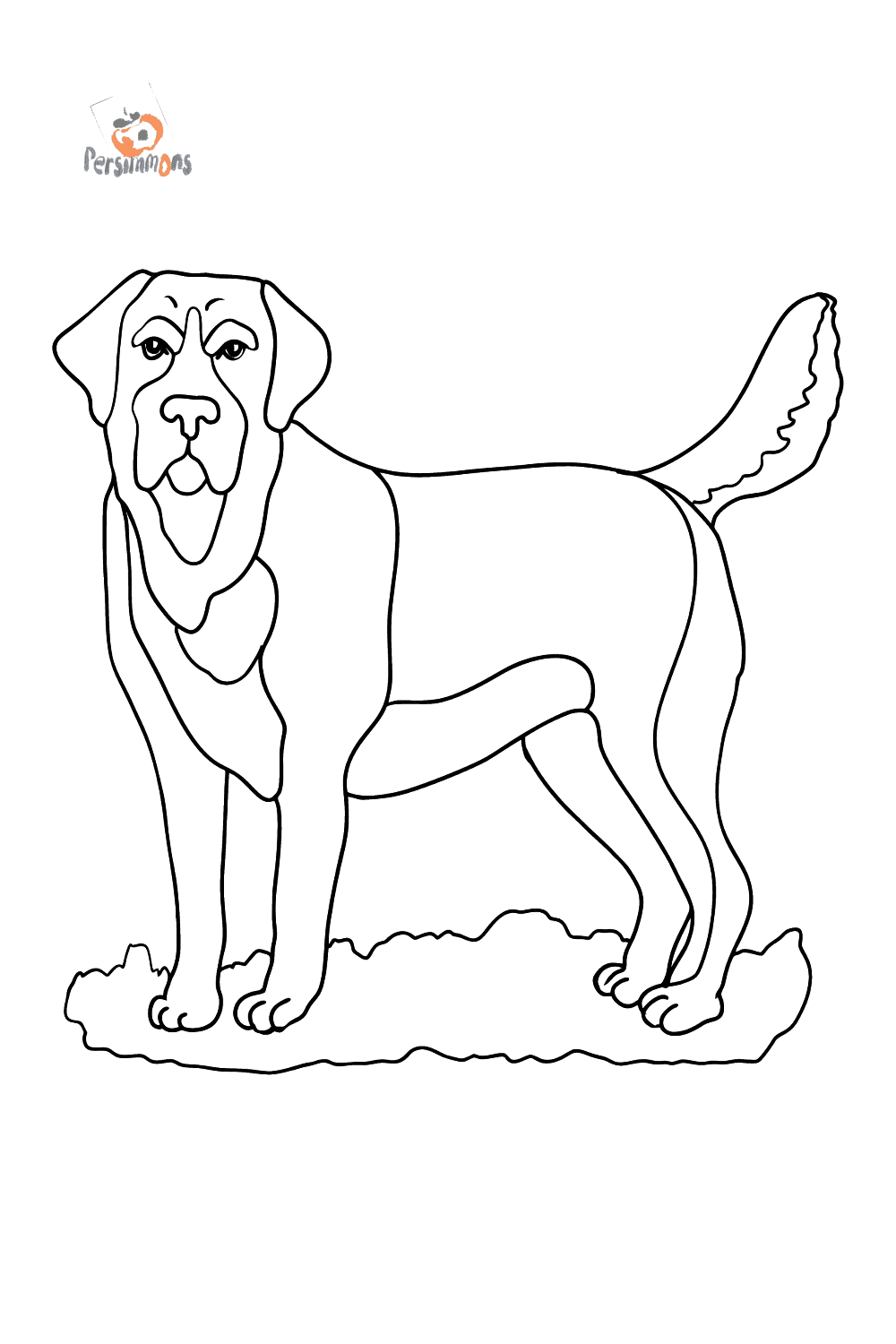 Labrador coloring page ♥ Free Online!
