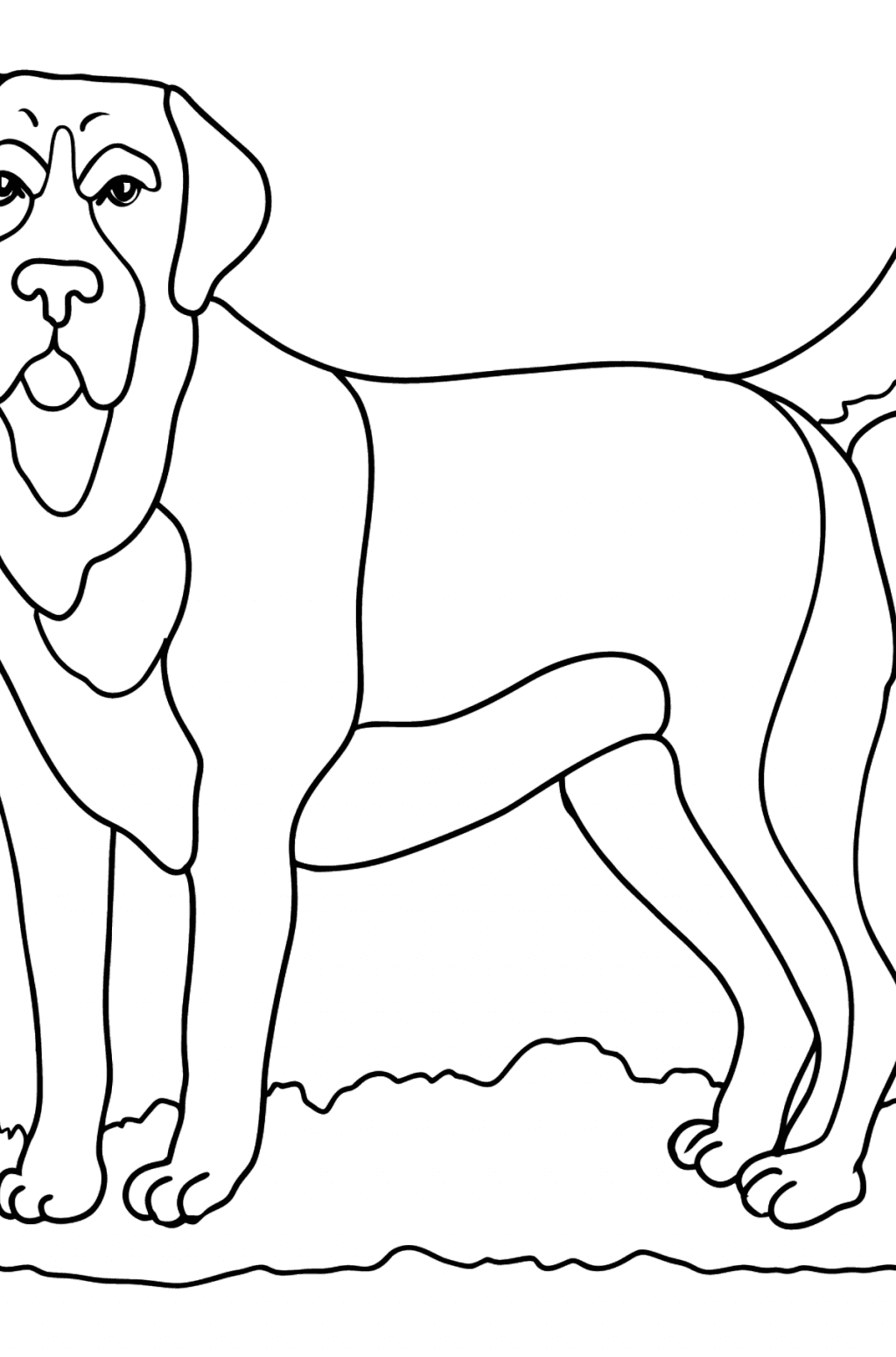 Labrador coloring page ♥ Free Online!