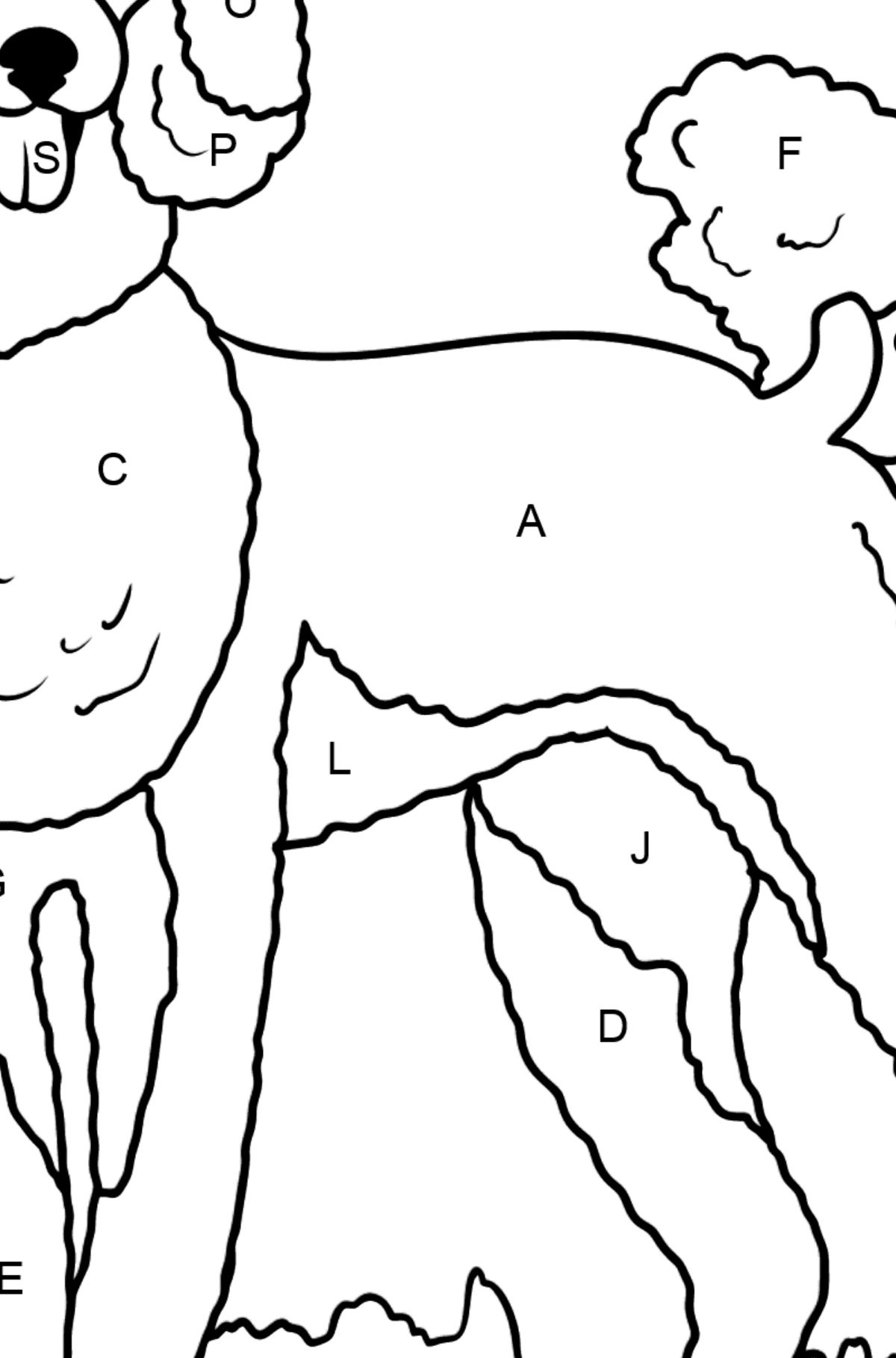 Desenho para colorir do poodle - Colorir por Letras para Crianças