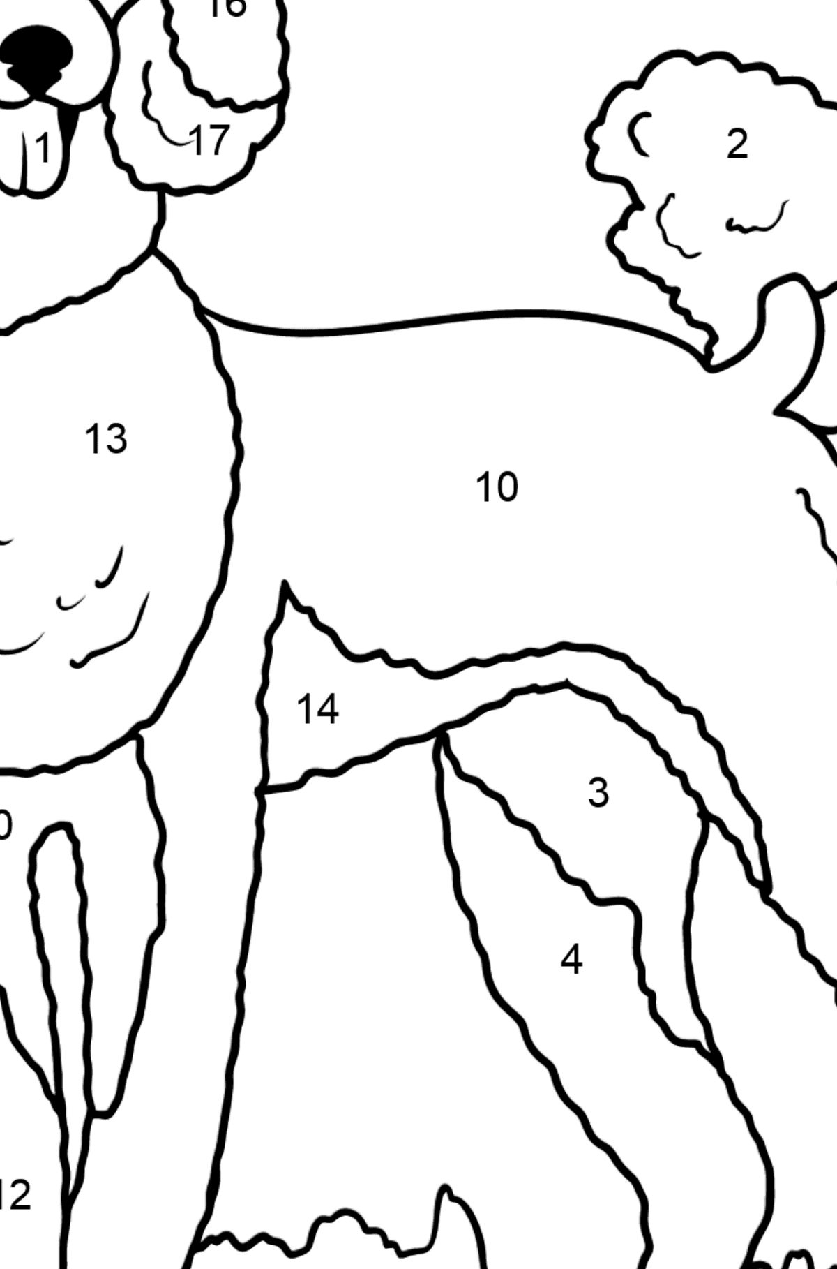 Desenho para colorir do poodle - Colorir por Números para Crianças