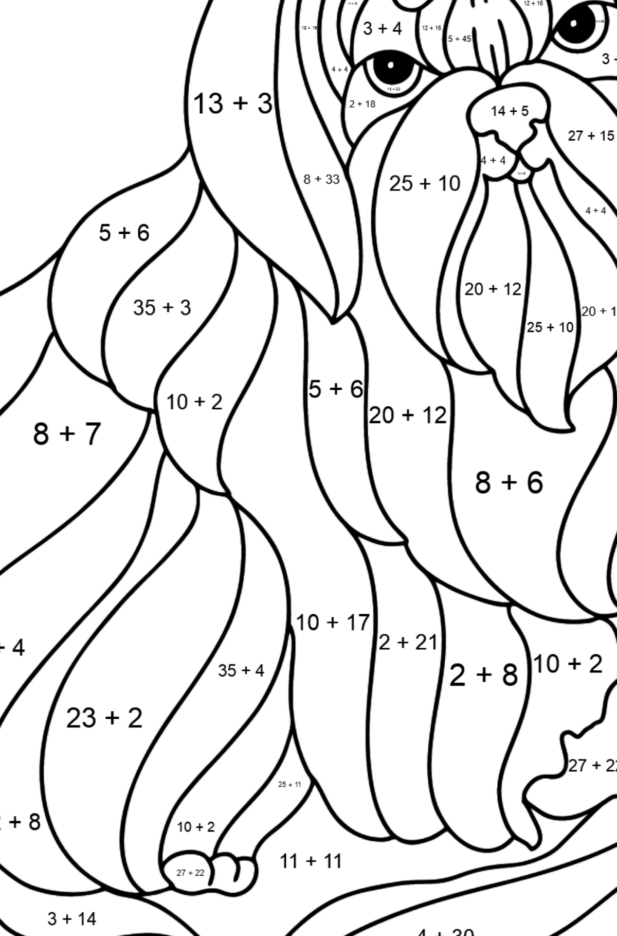Shitsu coloring page - Math Coloring - Addition for Kids