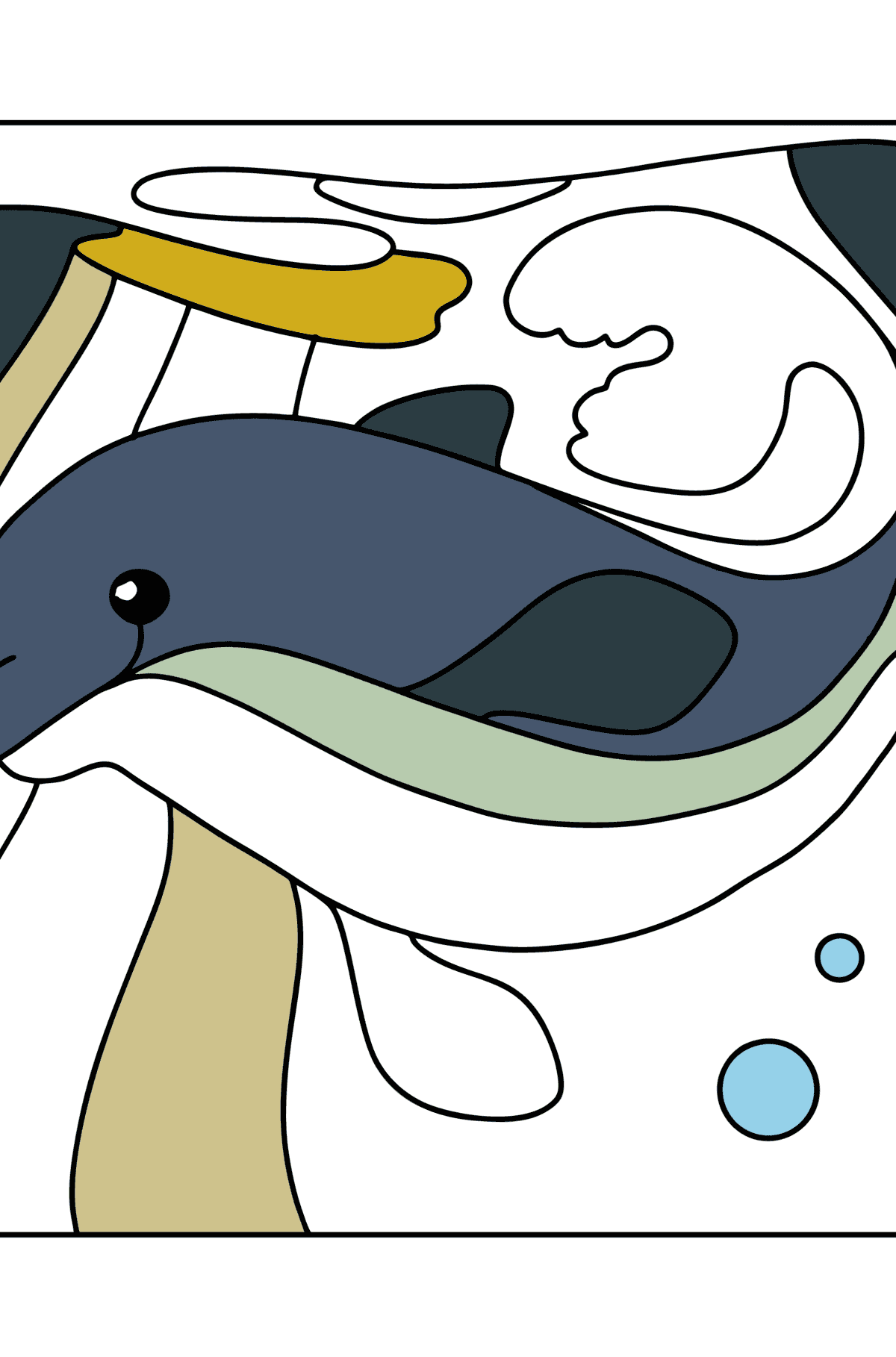 Tegning til fargelegging delfin i vannet - Tegninger til fargelegging for barn