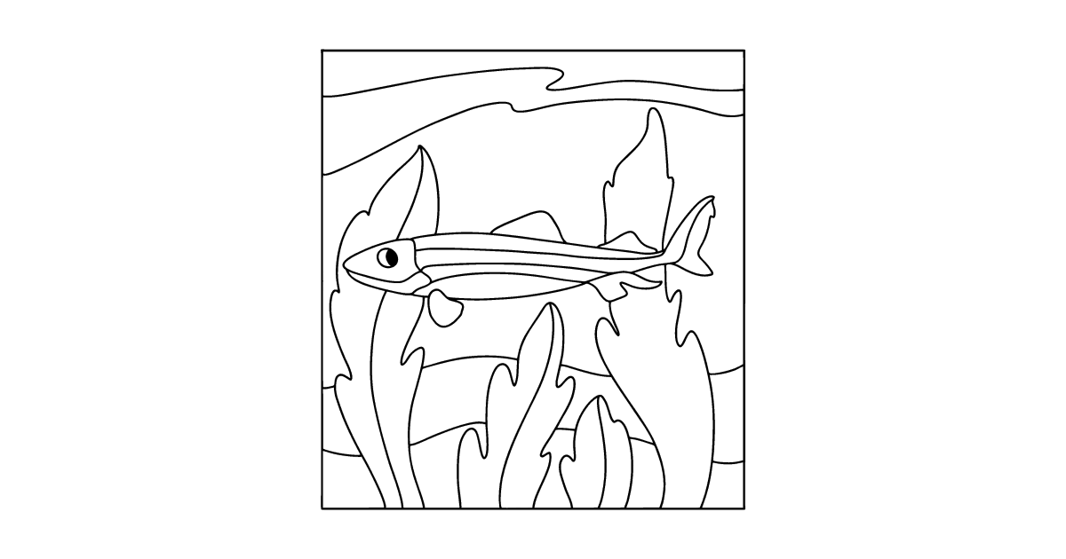 Tegning til farvning krokodillehaj ♥ Online og Print gratis!