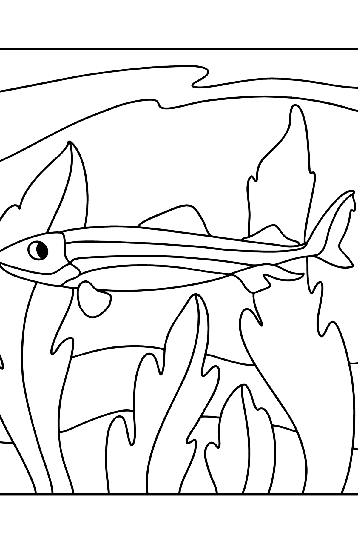 Boyama sayfası timsah köpekbalığı - Boyamalar çocuklar için