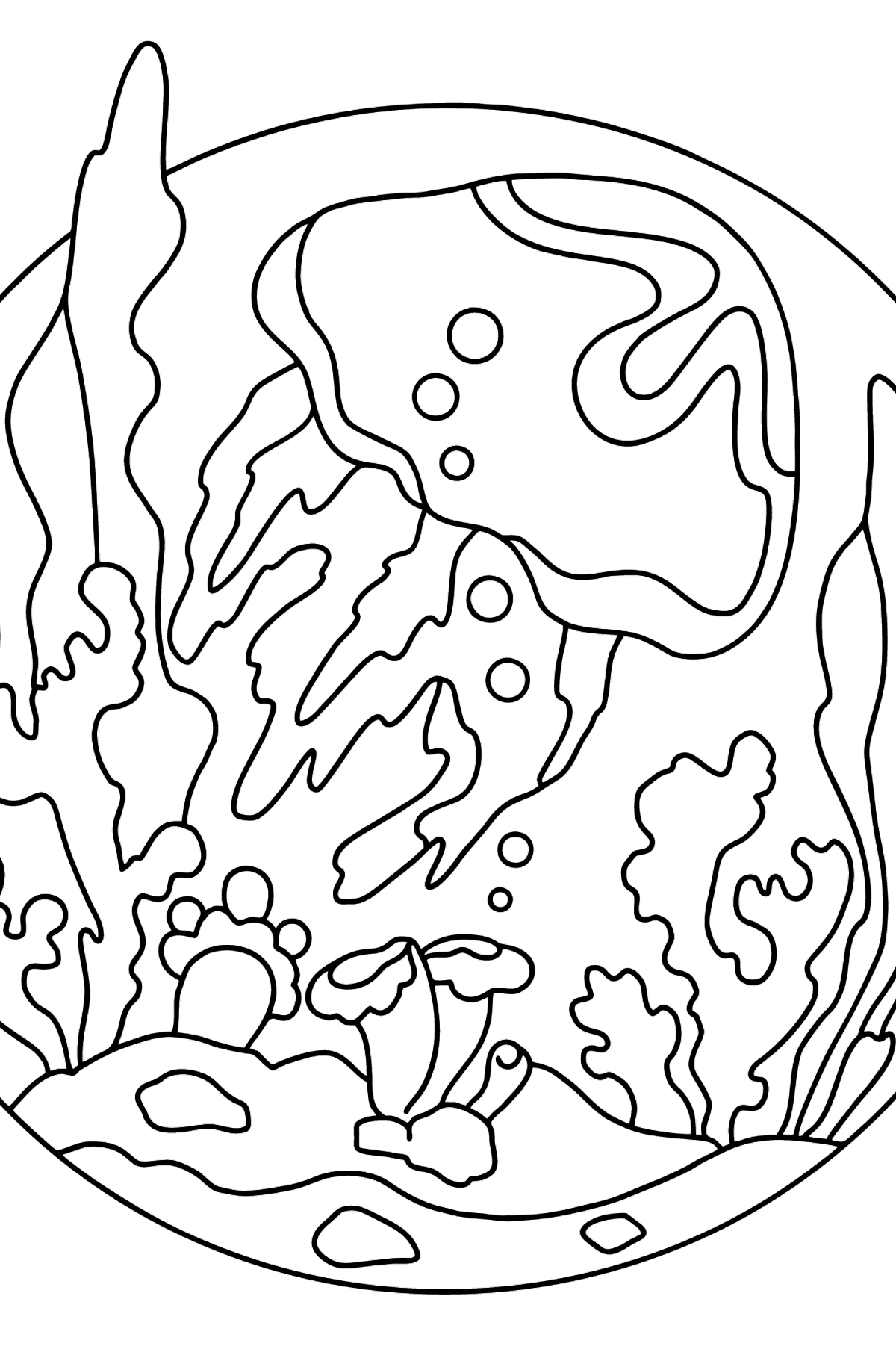 Раскраска экзотические животные - полупрозрачная медуза - Картинки для Детей