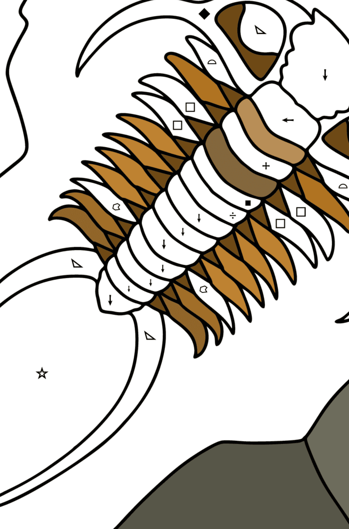 Sea Fossil coloring page - Coloring by Symbols and Geometric Shapes for Kids