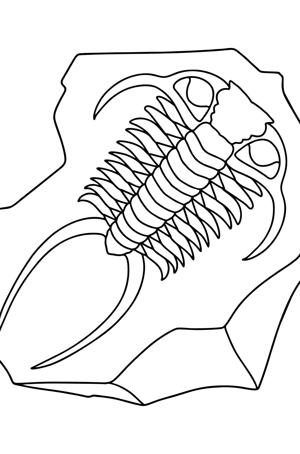 Sea Fossil coloring page - Coloring Pages for Kids