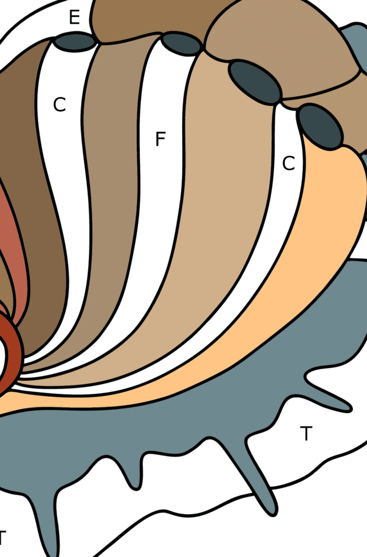 Ausmalbild Muschel Abalone - Ausmalen nach Buchstaben für Kinder