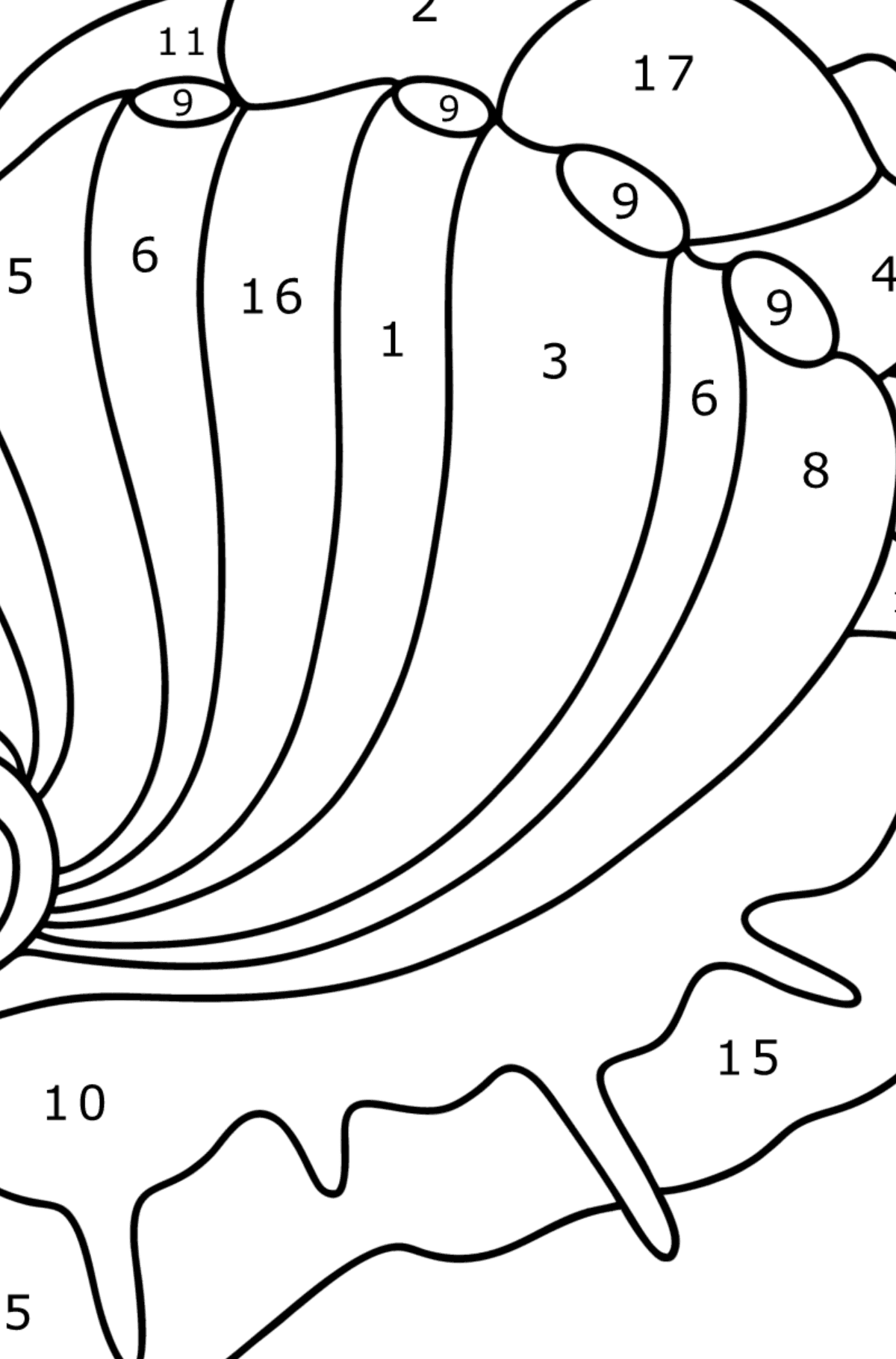 Раскраска Моллюск морское ушко - По Номерам для Детей