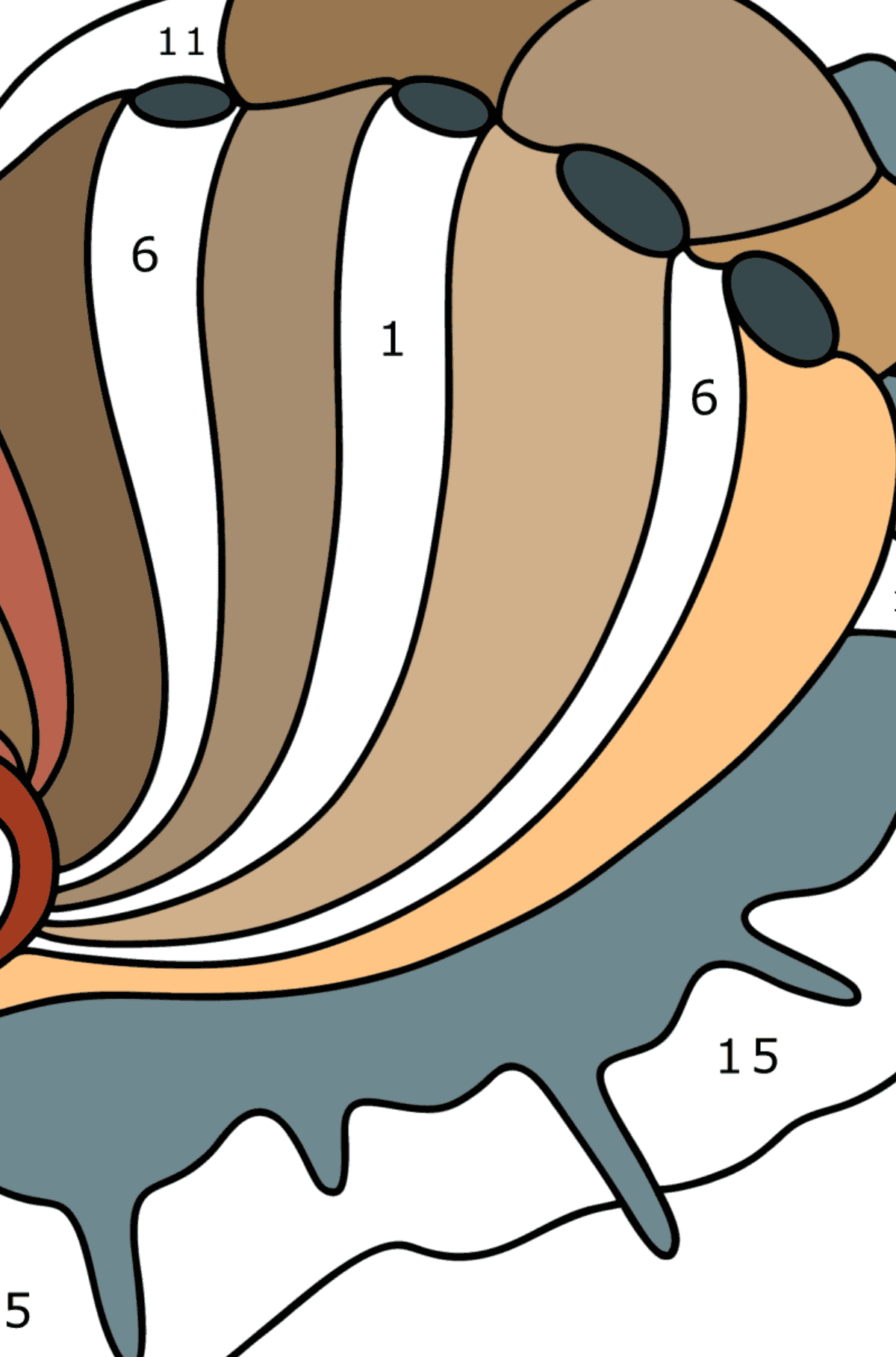 Раскраска Моллюск морское ушко - По Номерам для Детей