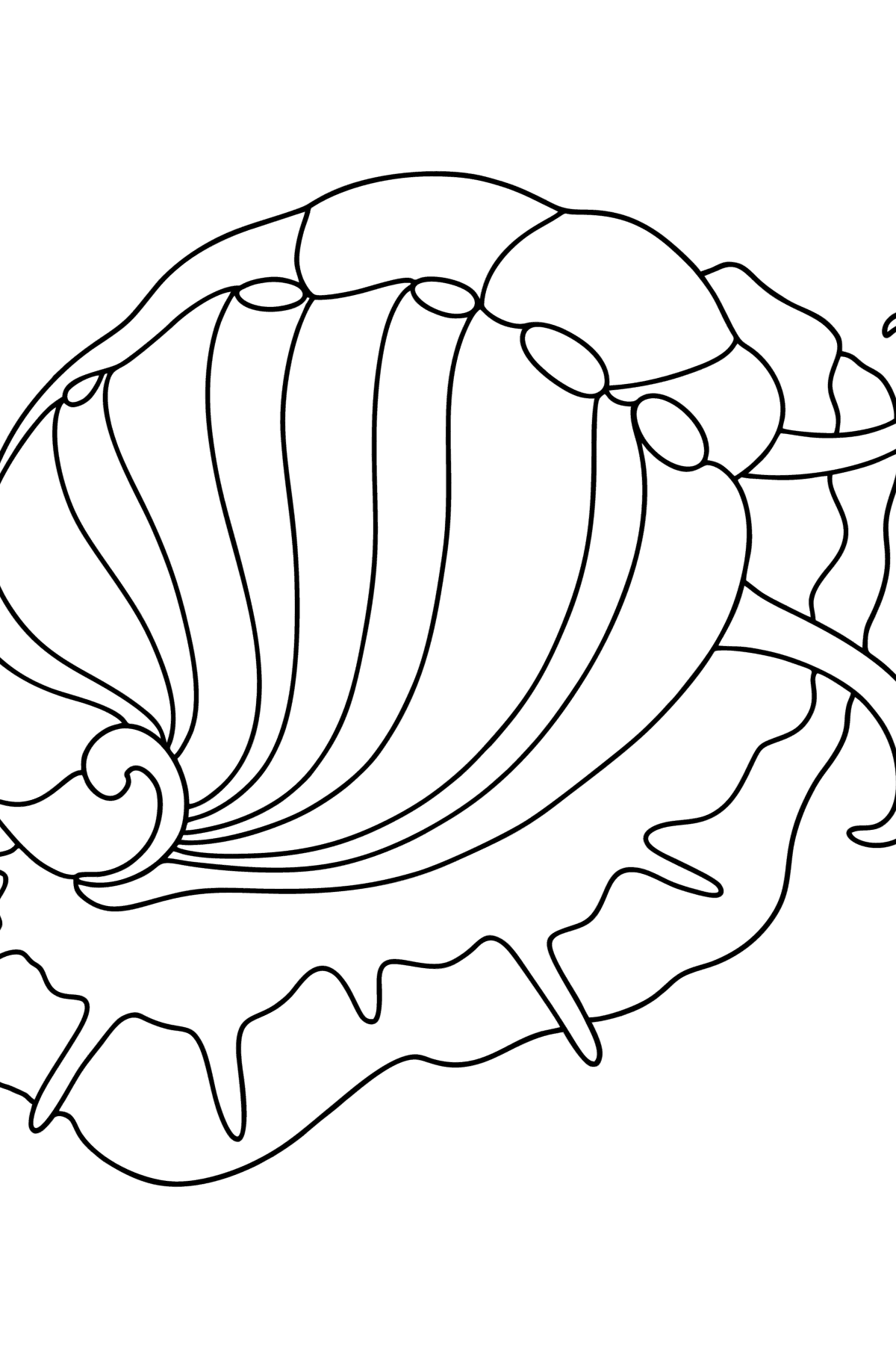 Tegning til farvning mollusk abalone - Tegninger til farvelægning for børn